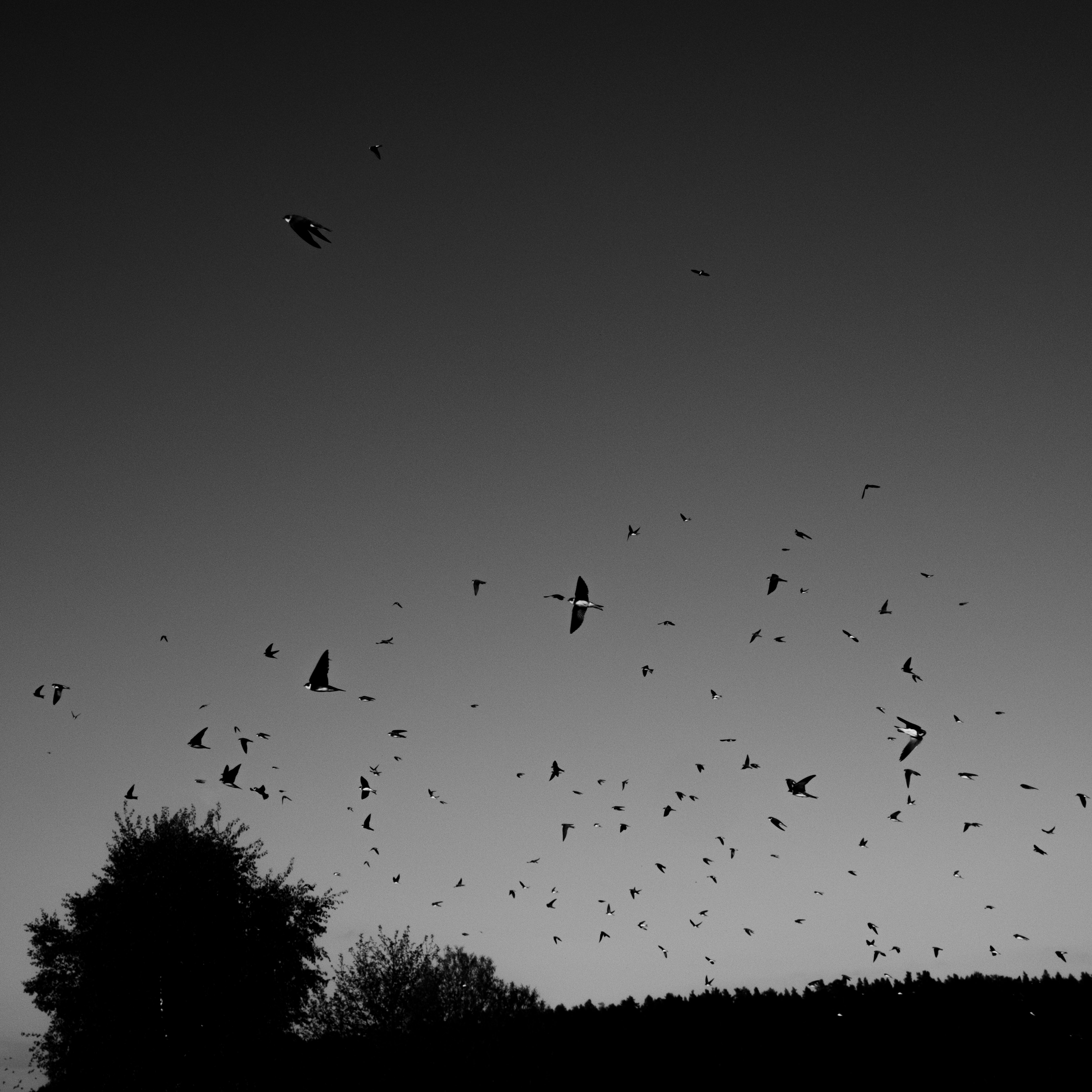 Photo by evil_bumblebee