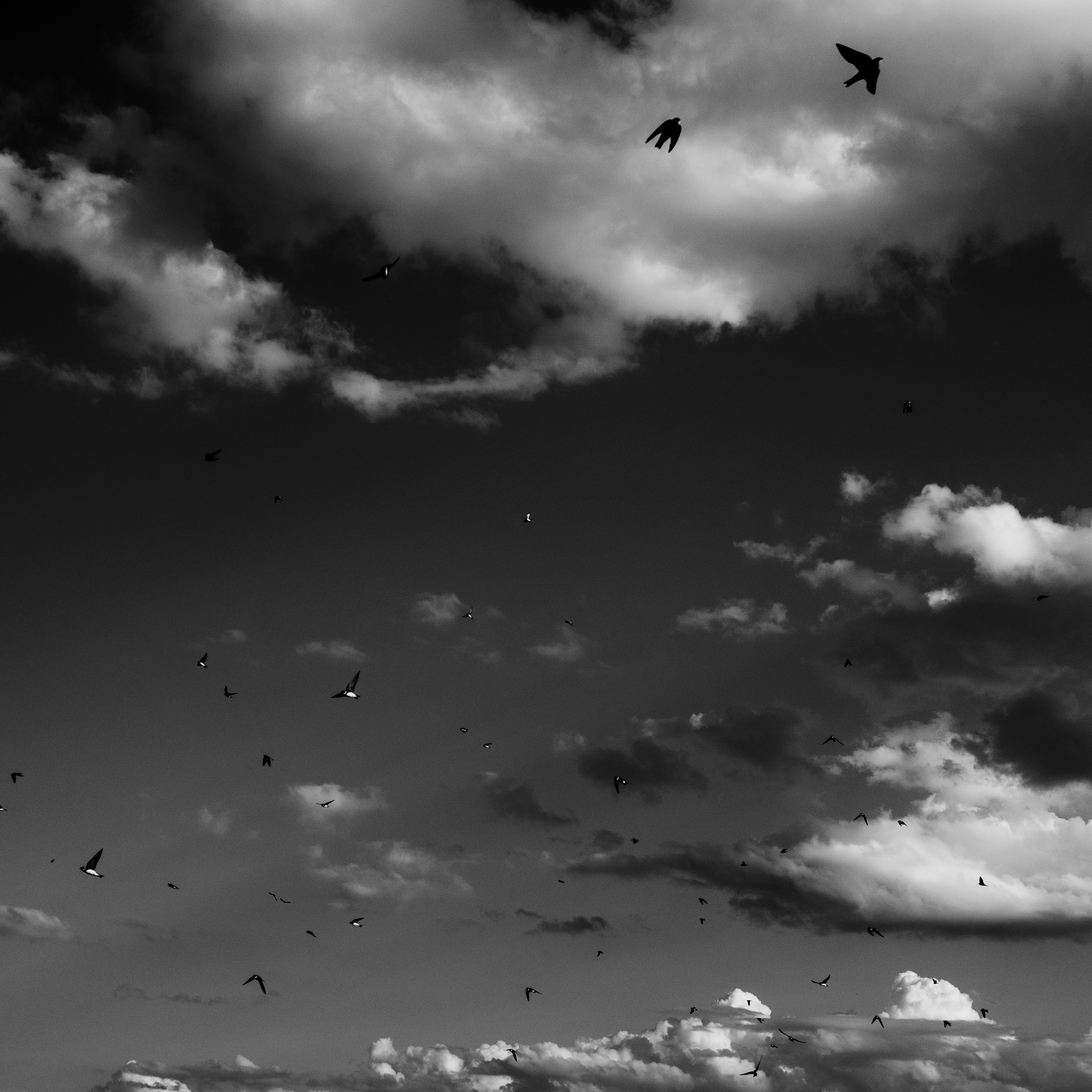 Photo by evil_bumblebee