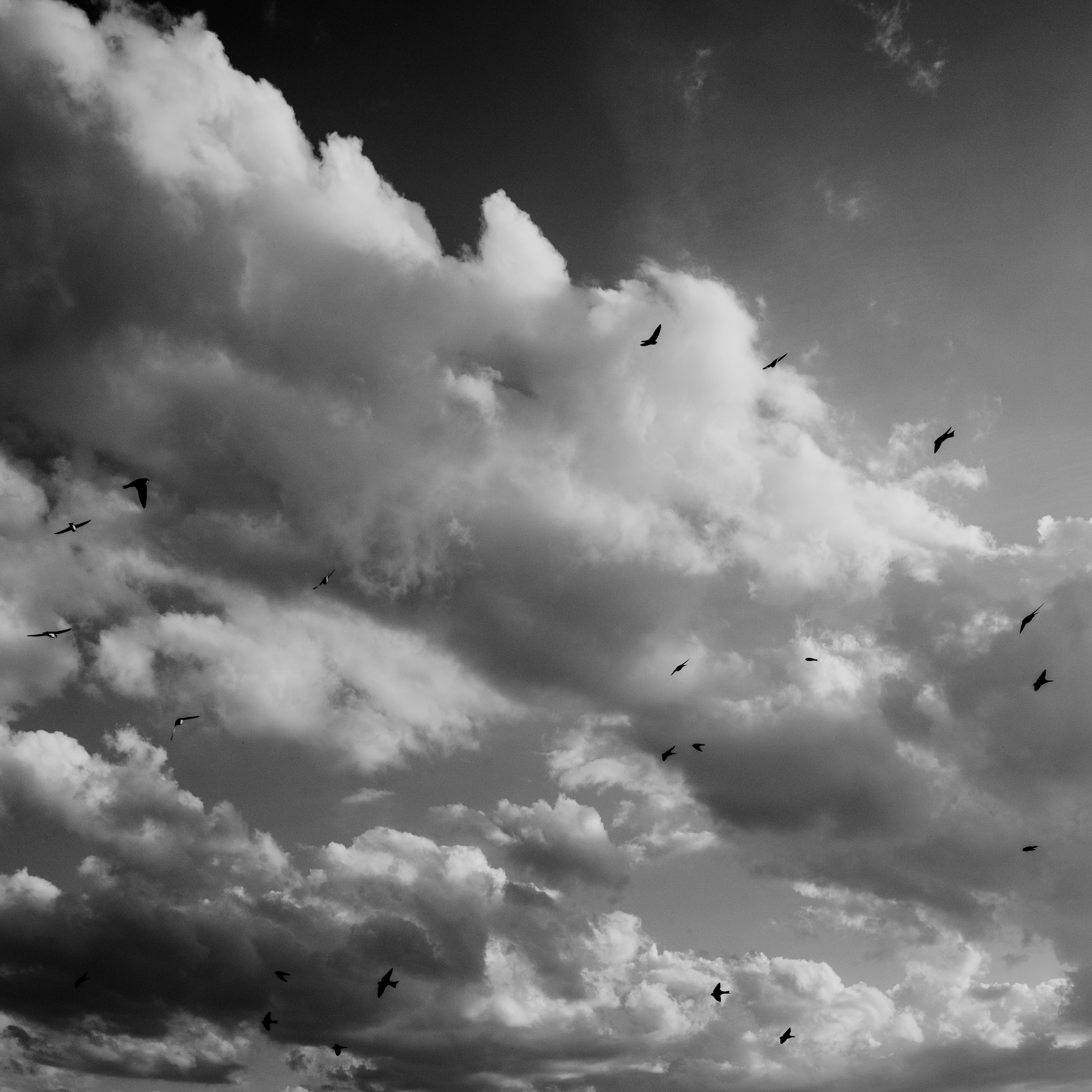 Photo by evil_bumblebee