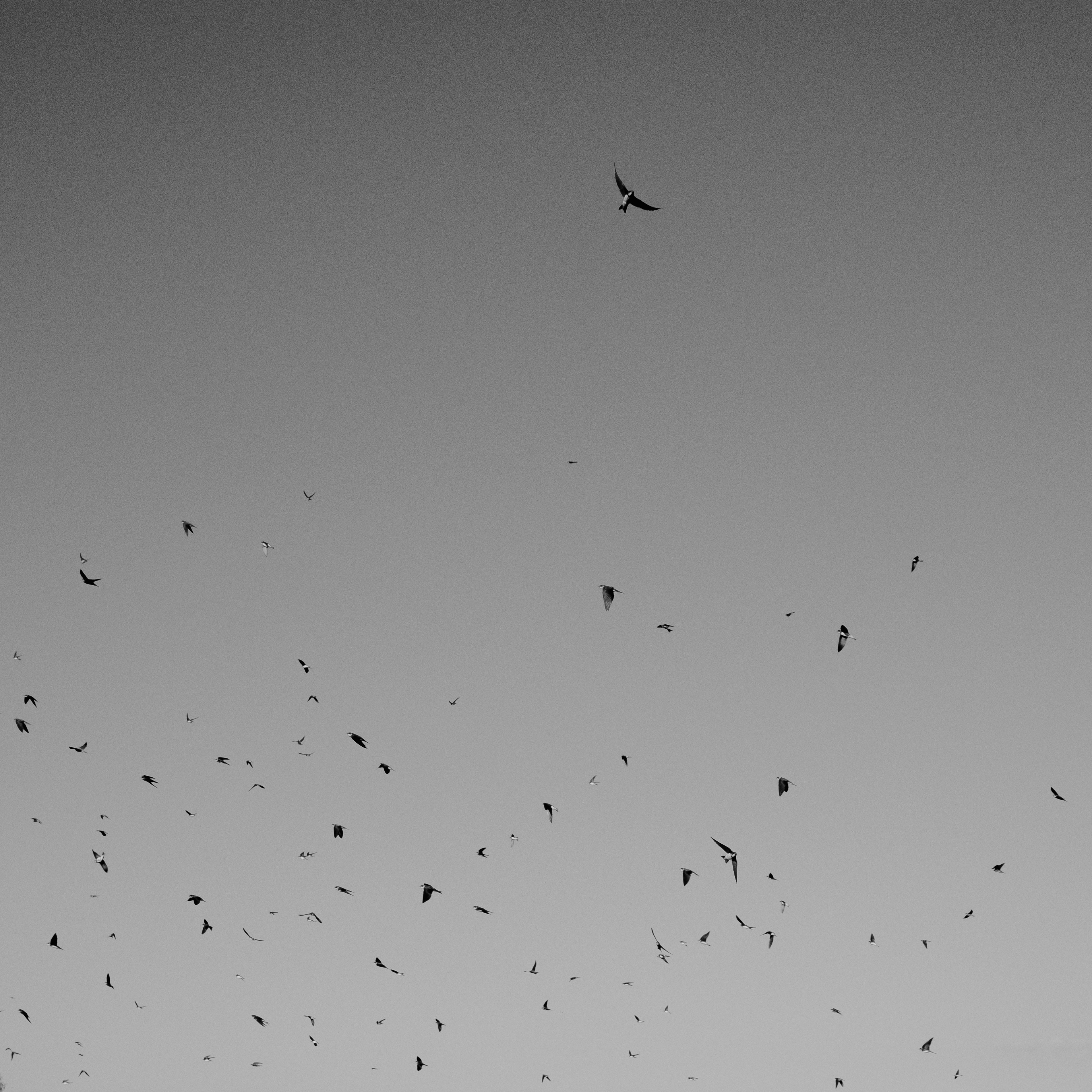 Photo by evil_bumblebee