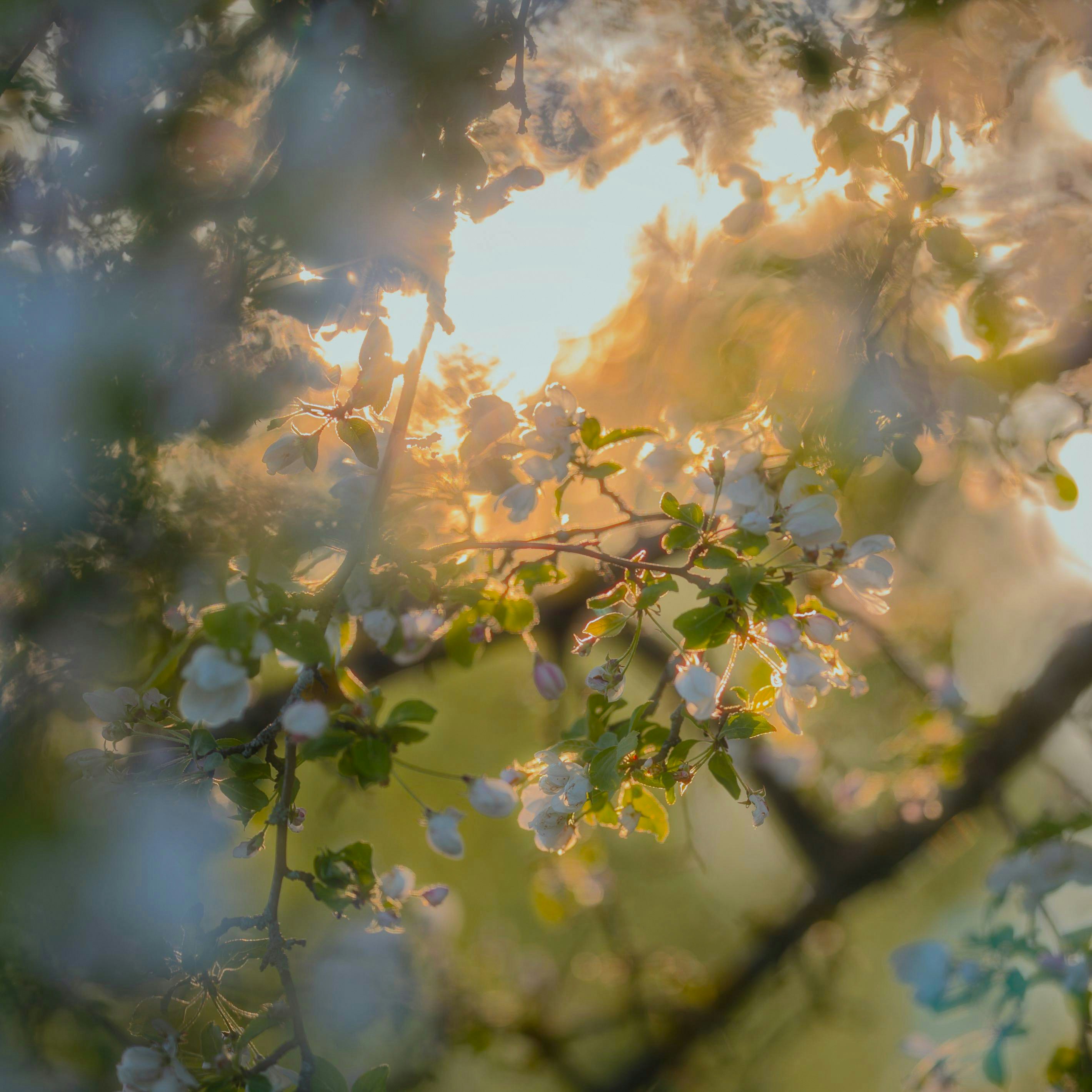 Photo by evil_bumblebee