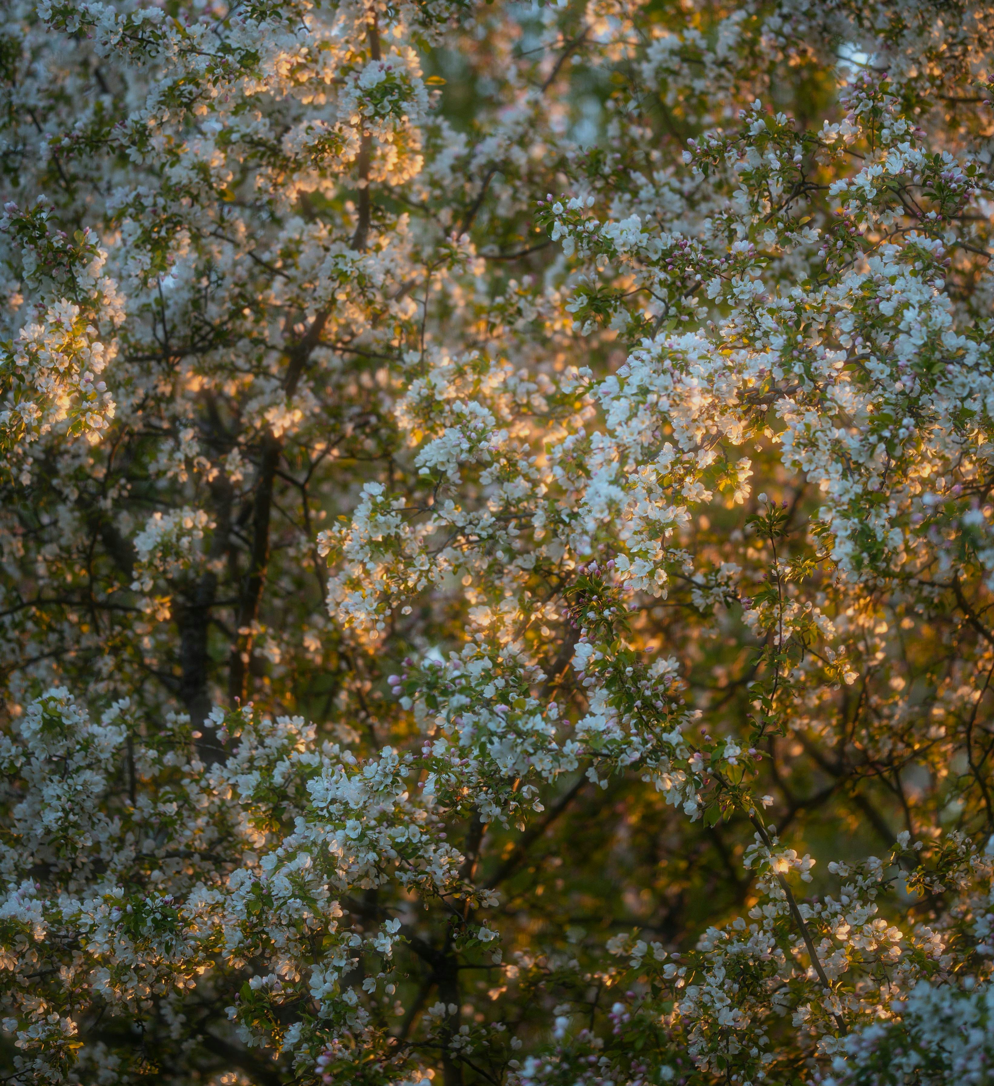 Photo by evil_bumblebee