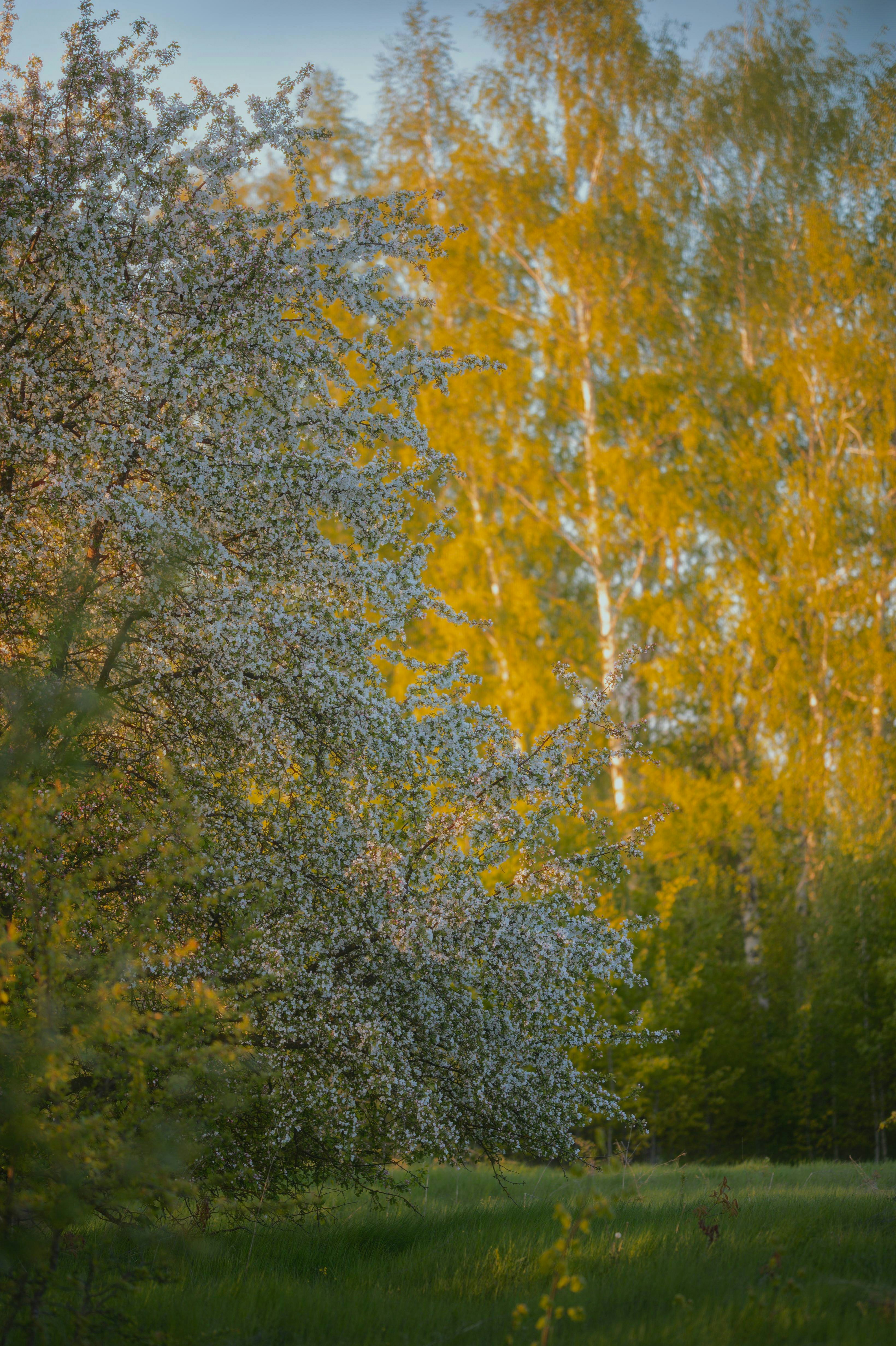 Photo by evil_bumblebee