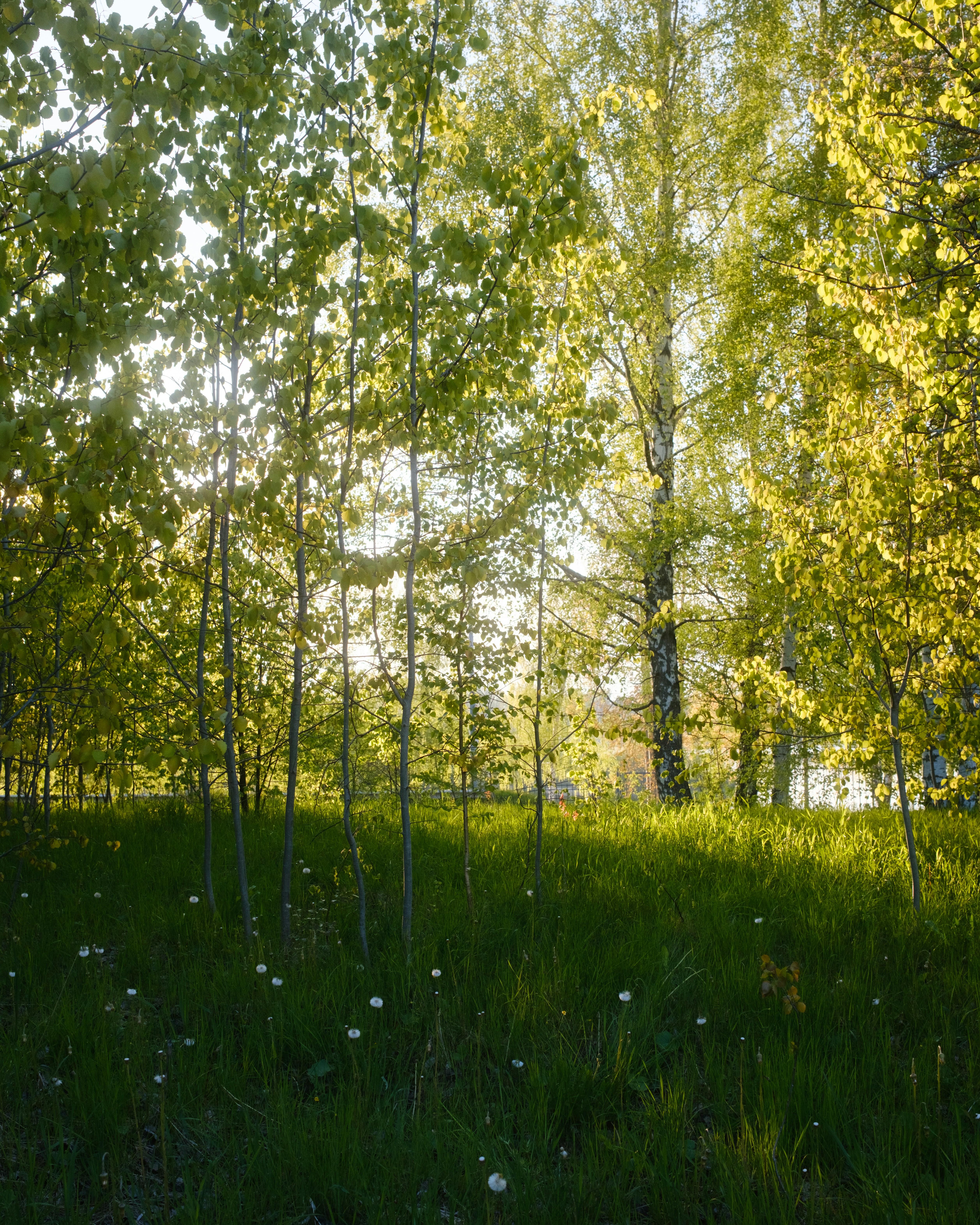 Photo by evil_bumblebee