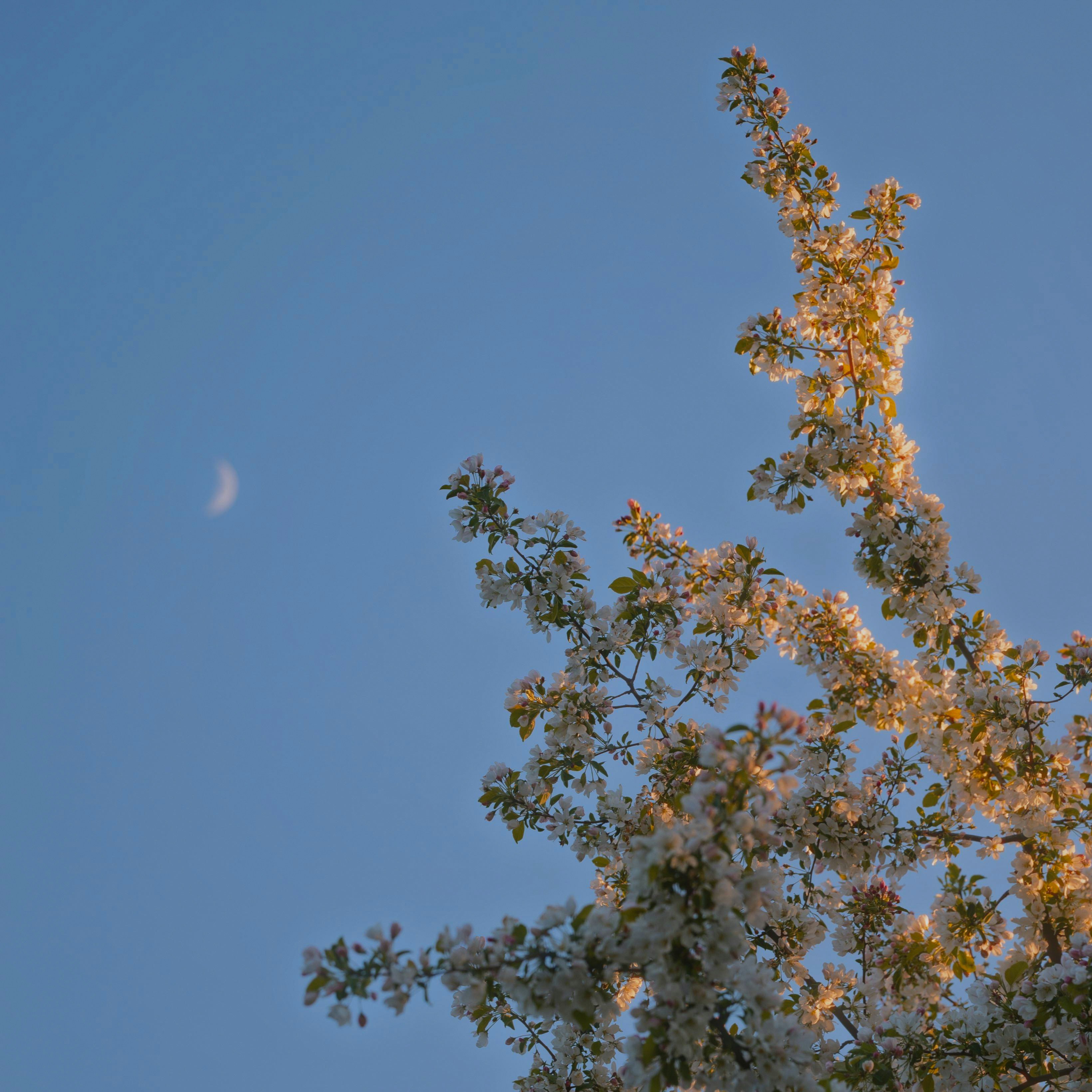 Photo by evil_bumblebee