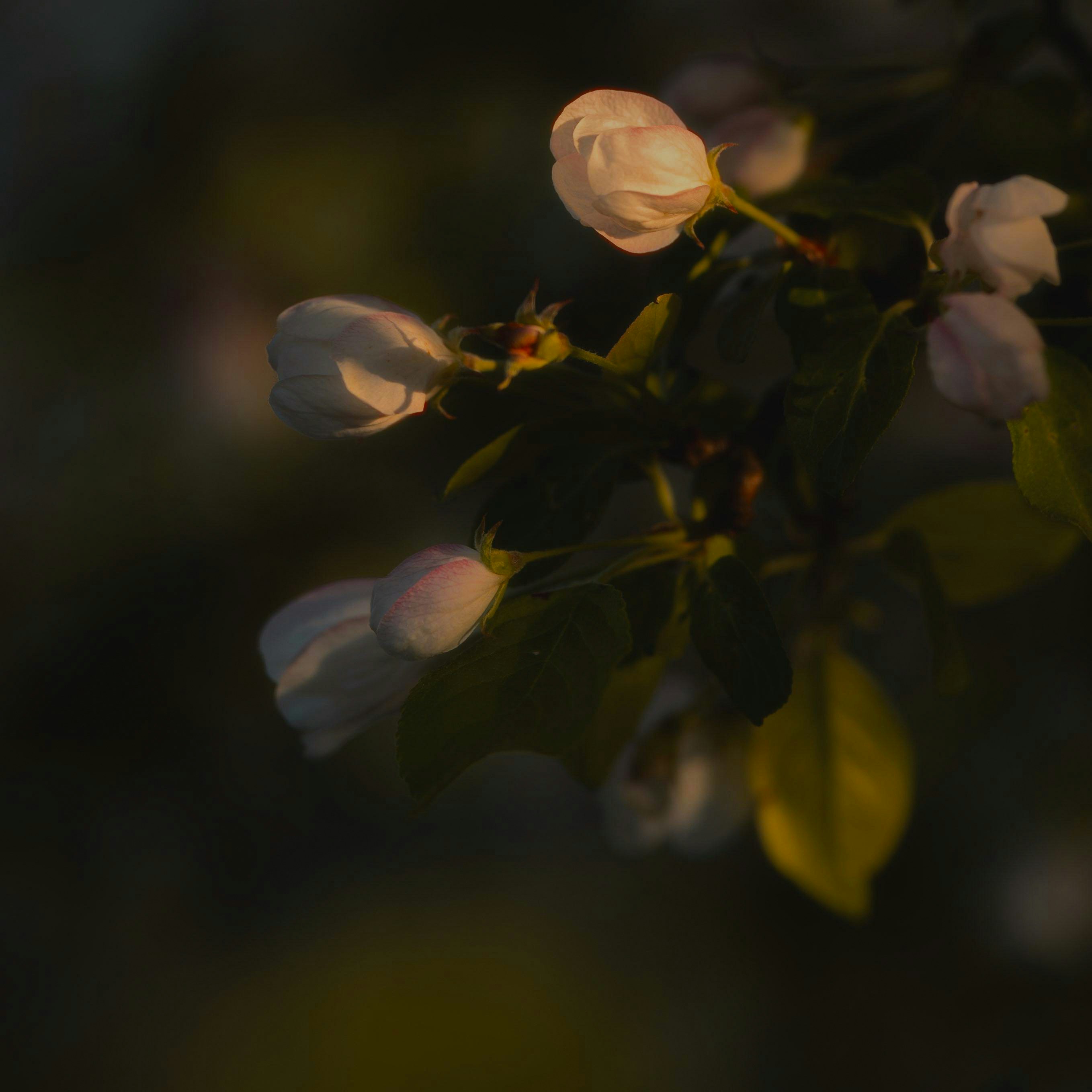 Photo by evil_bumblebee