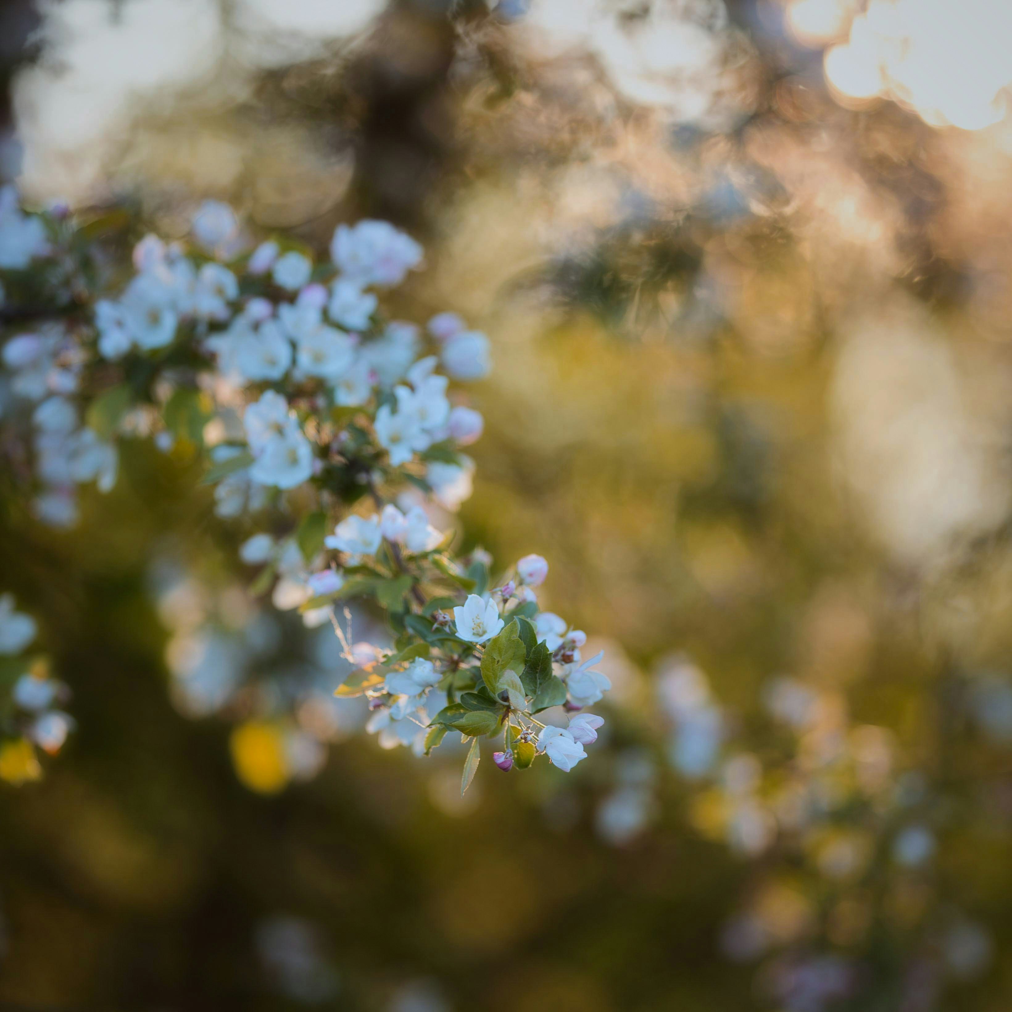 Photo by evil_bumblebee