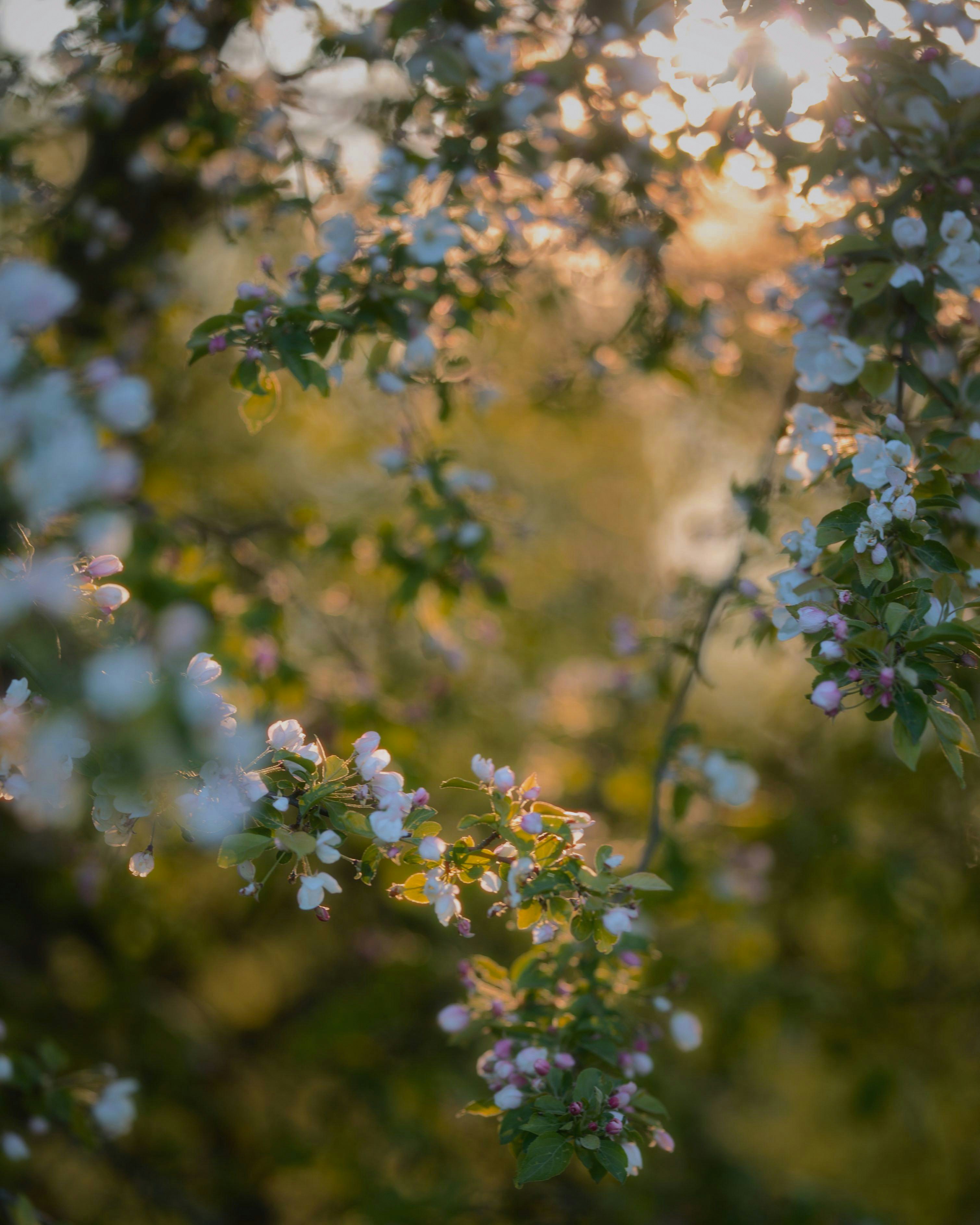 Photo by evil_bumblebee