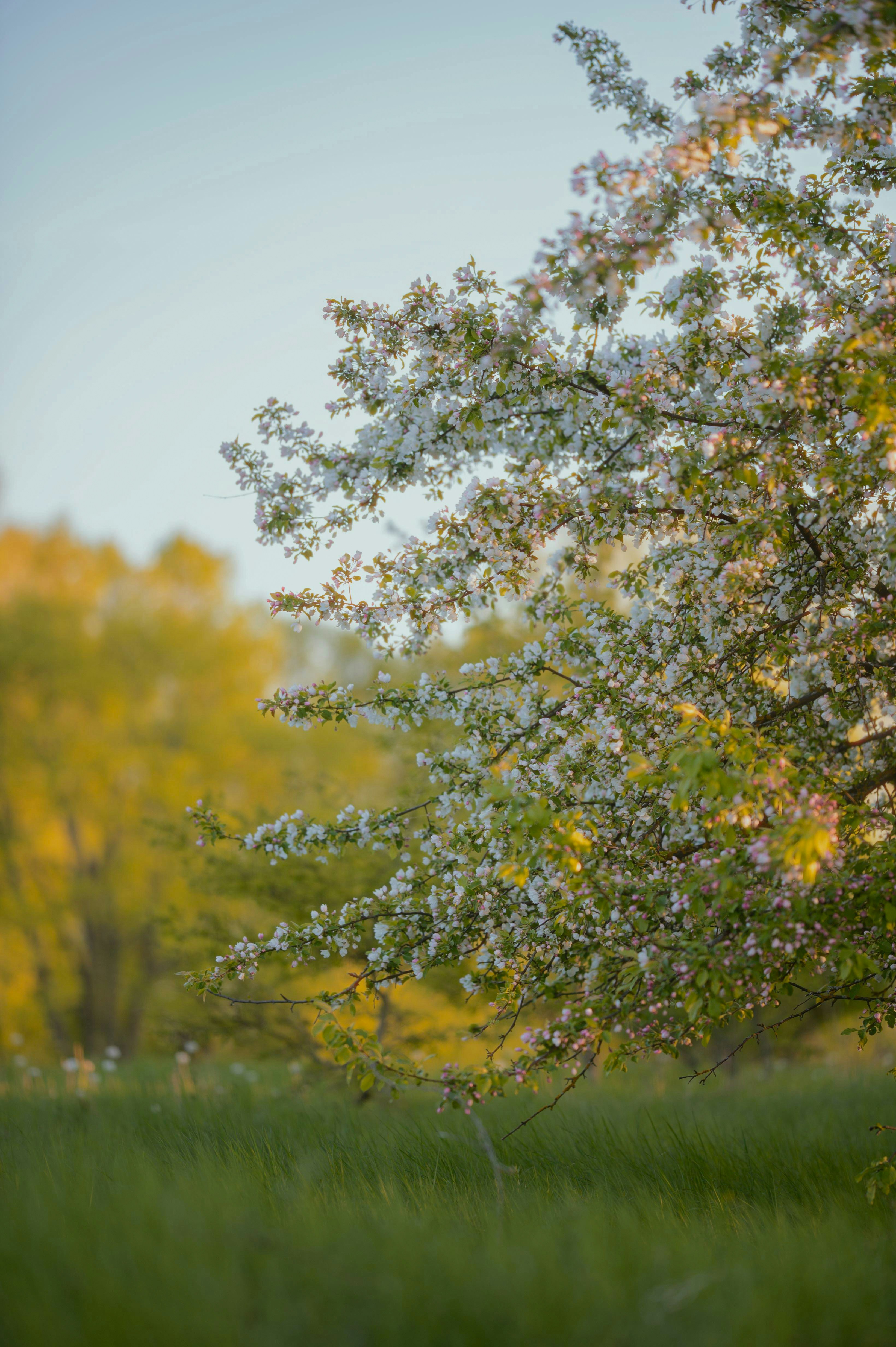 Photo by evil_bumblebee