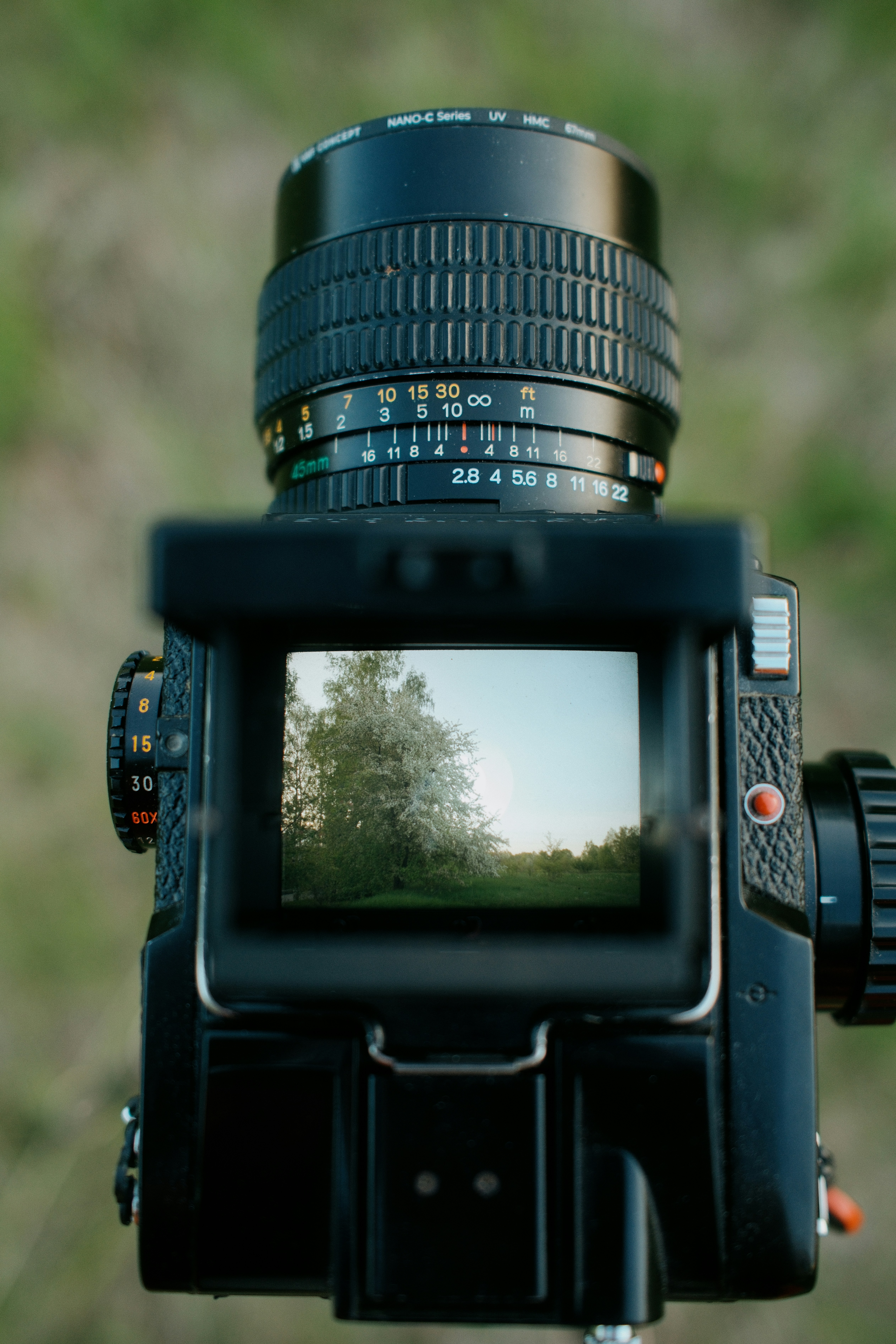 Photo by evil_bumblebee