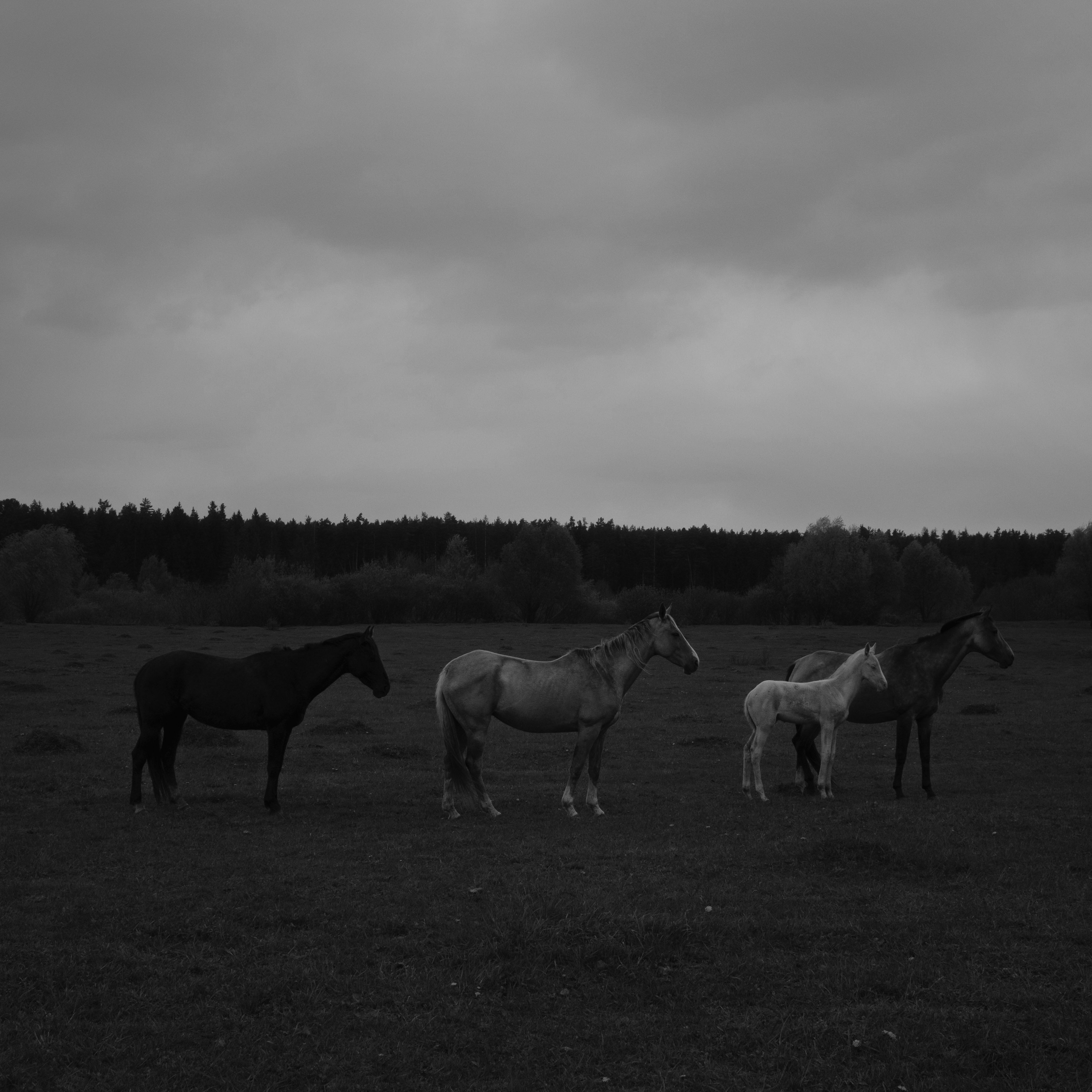 Photo by evil_bumblebee