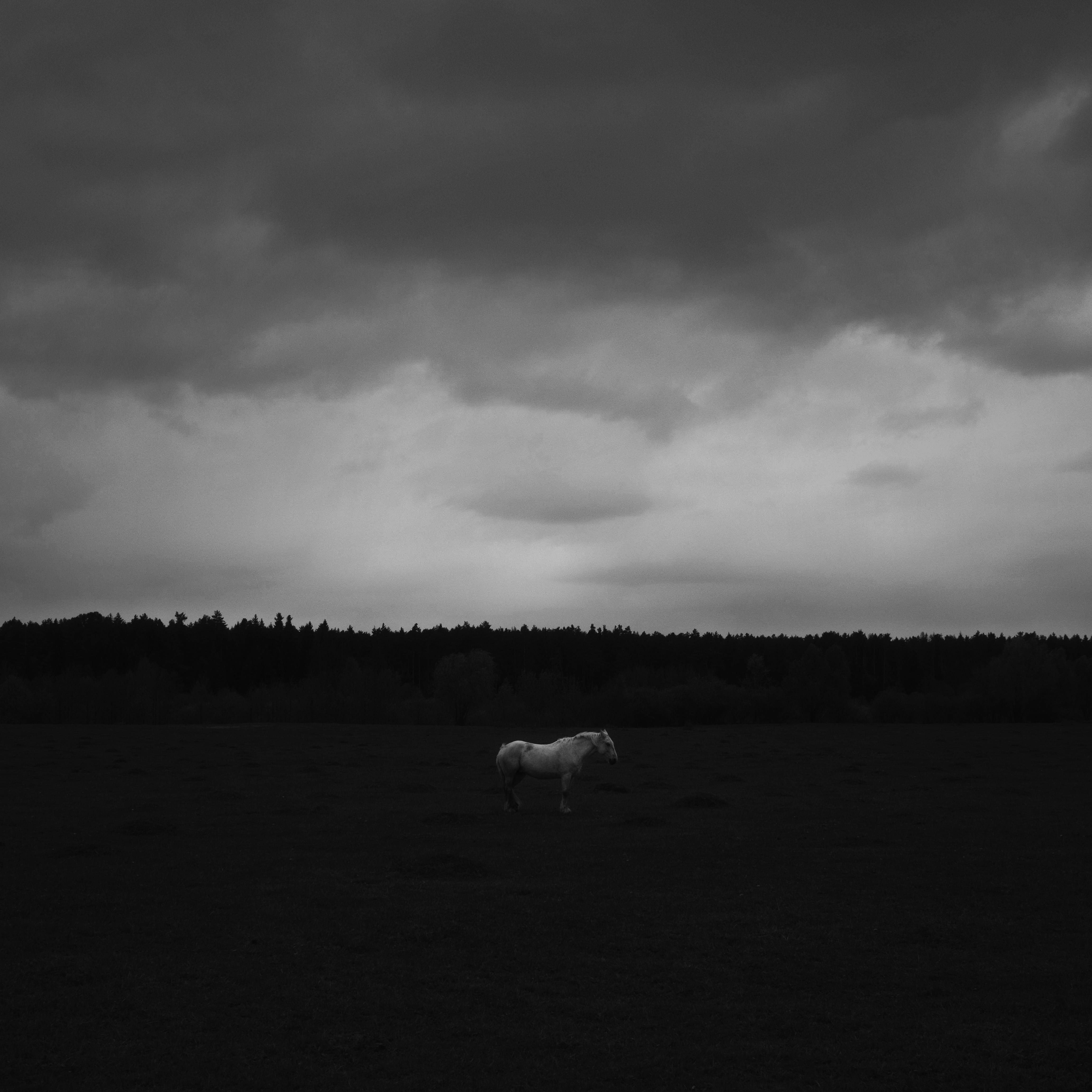 Photo by evil_bumblebee