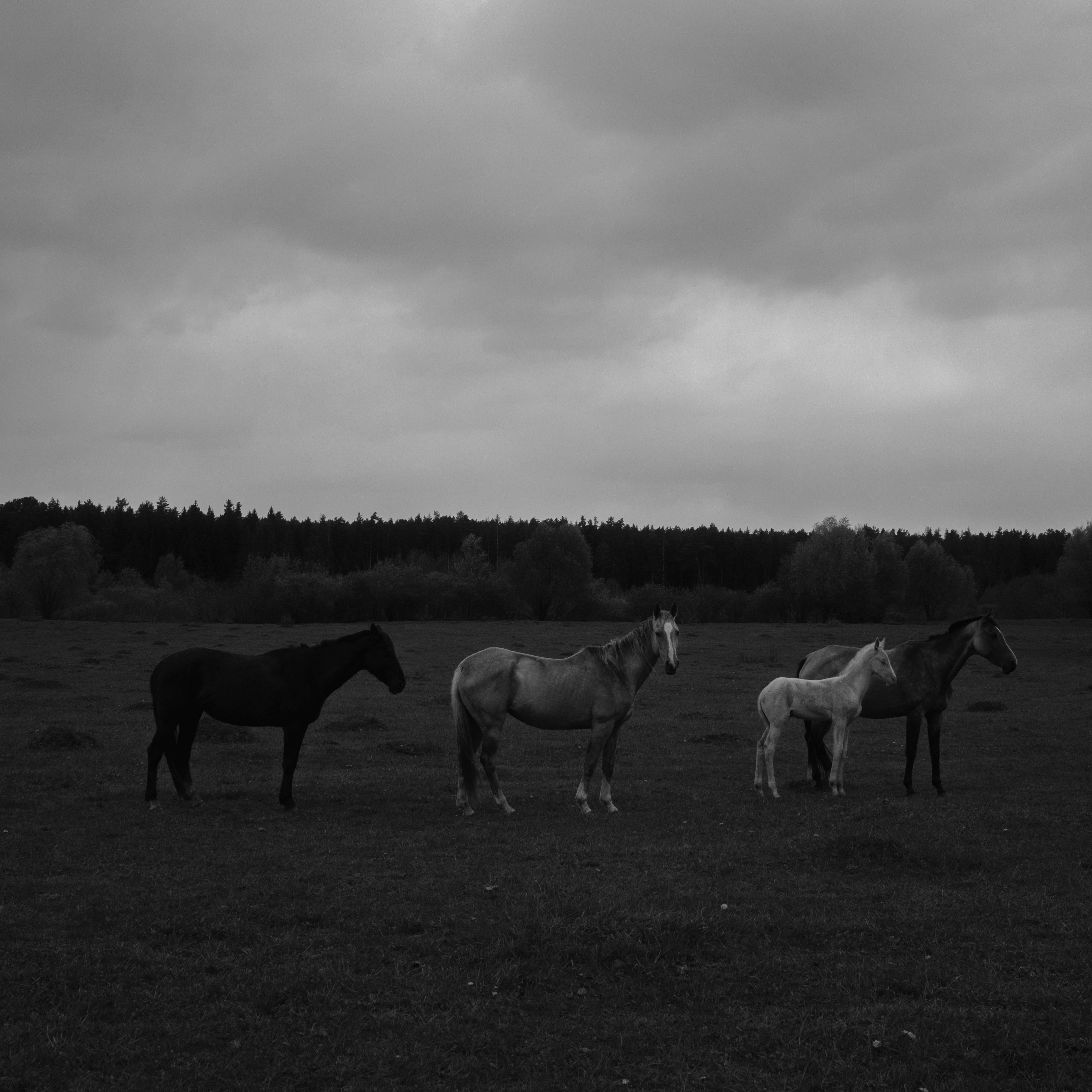 Photo by evil_bumblebee