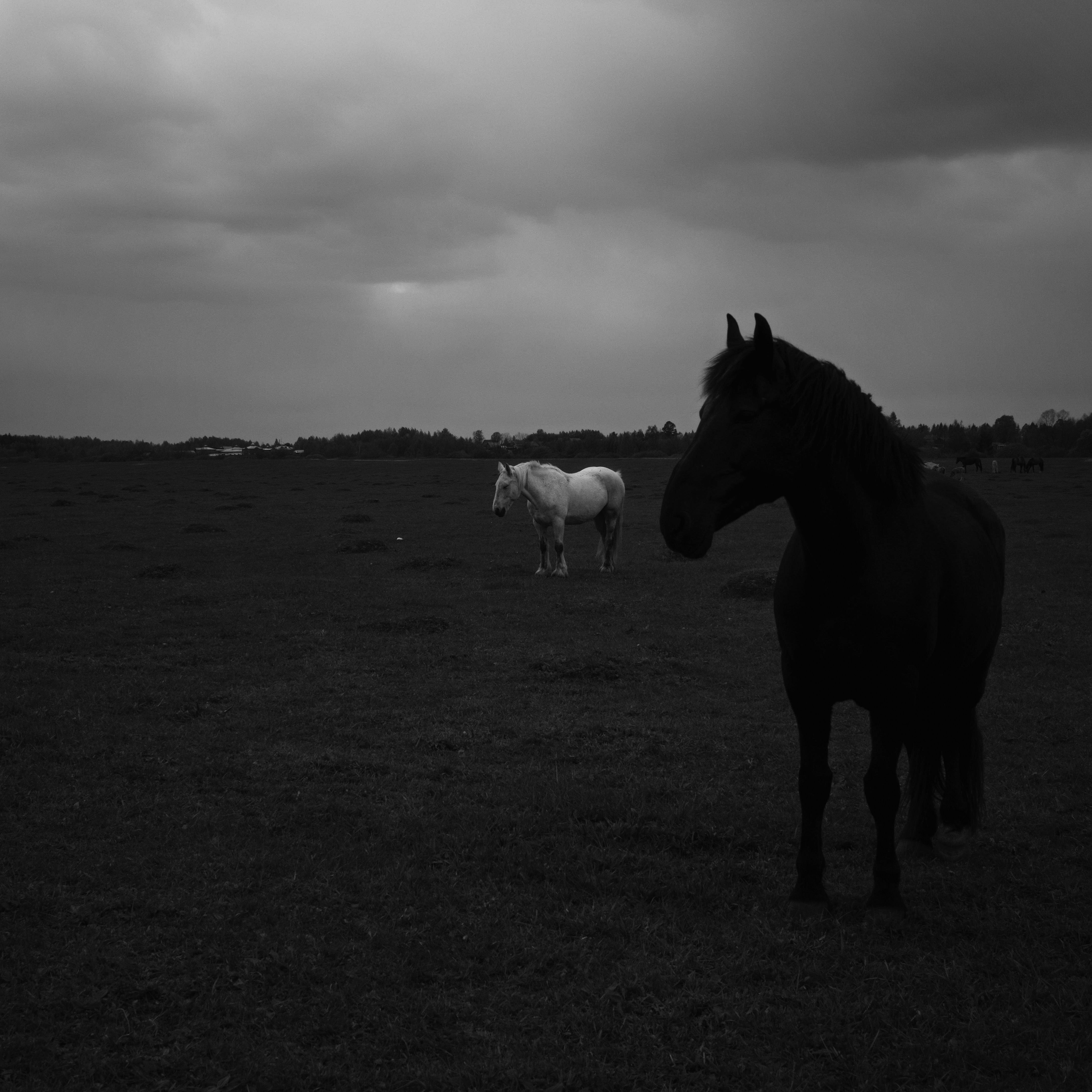 Photo by evil_bumblebee