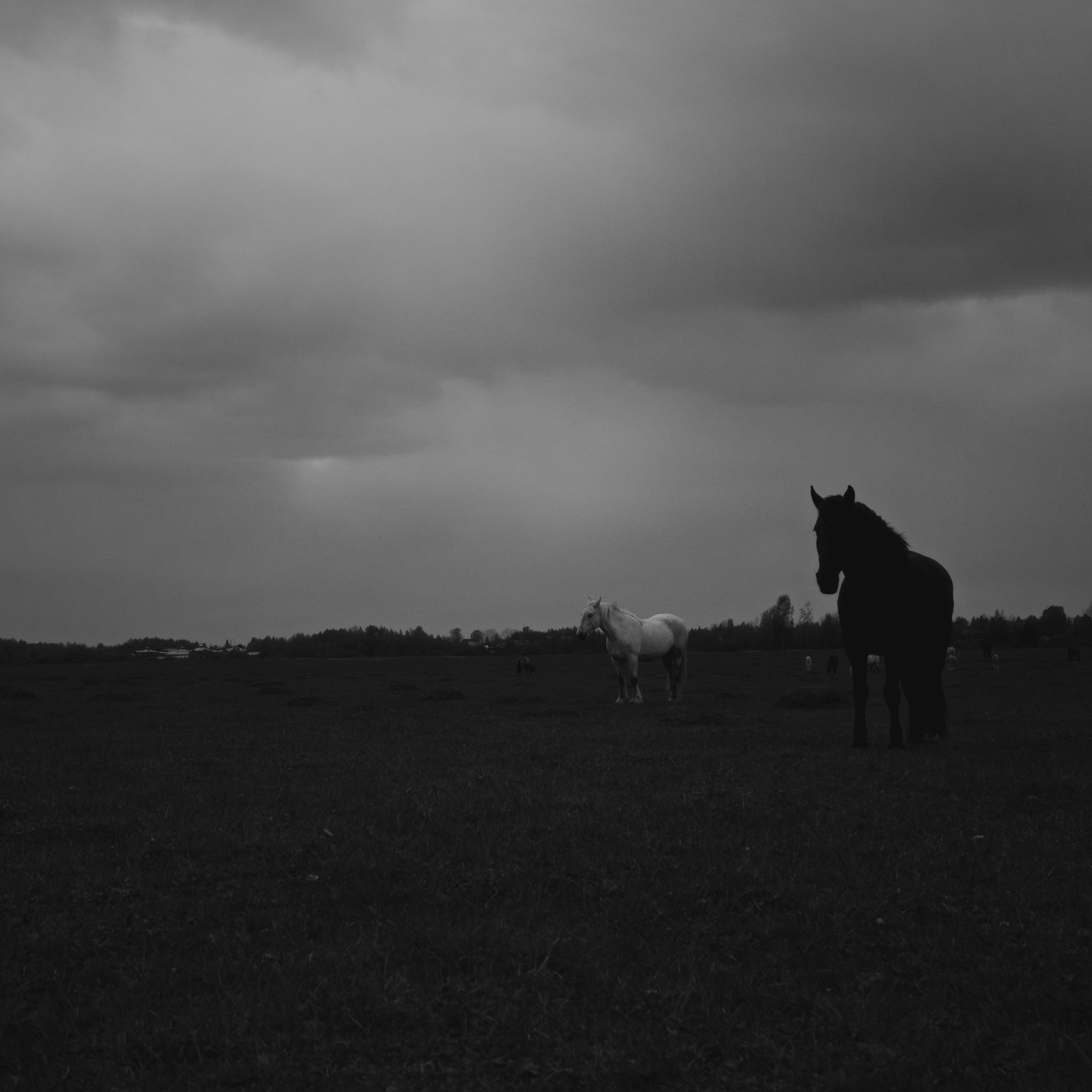 Photo by evil_bumblebee