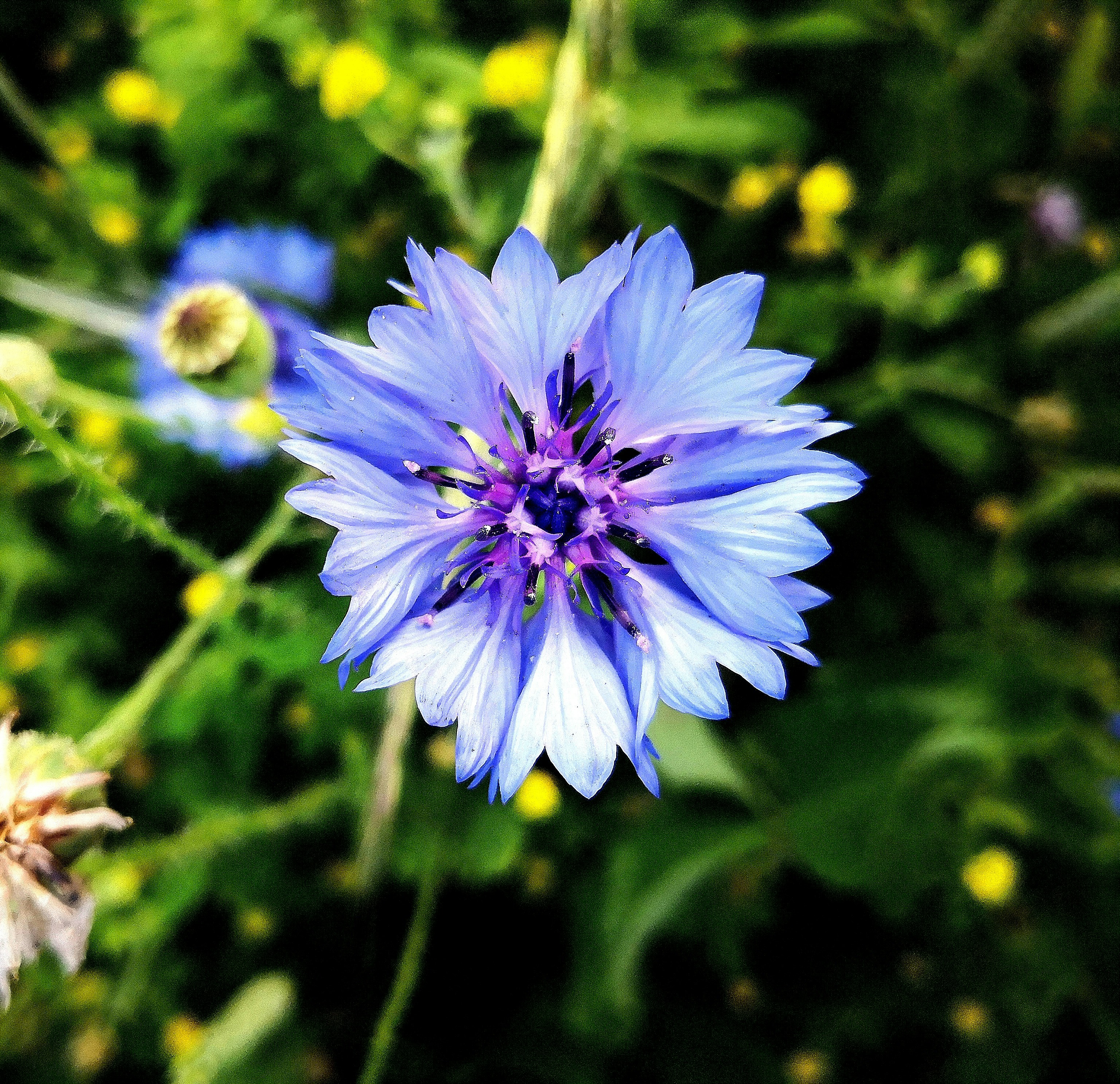 Photo by rossellavignoli