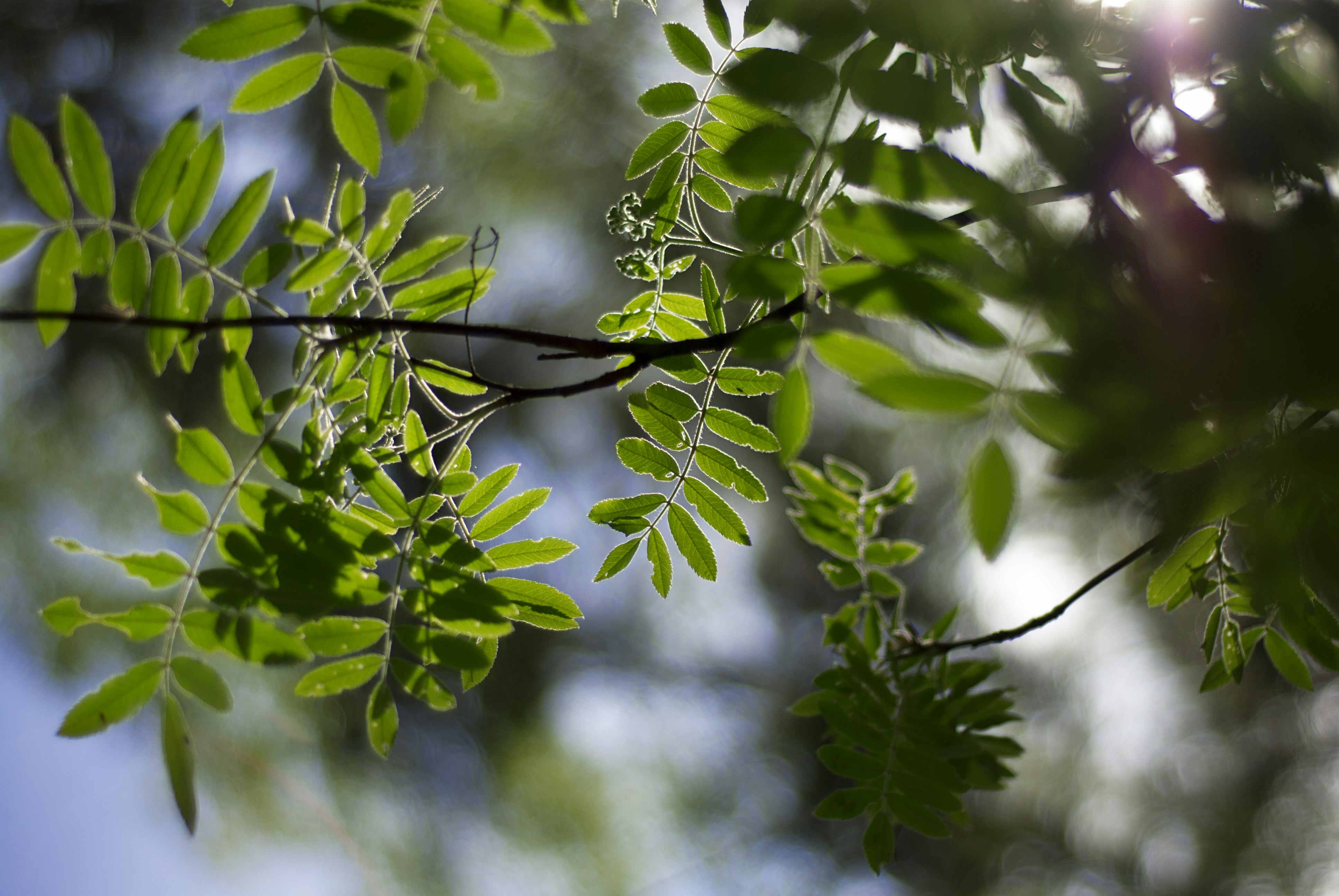 Photo by kovalskihelga