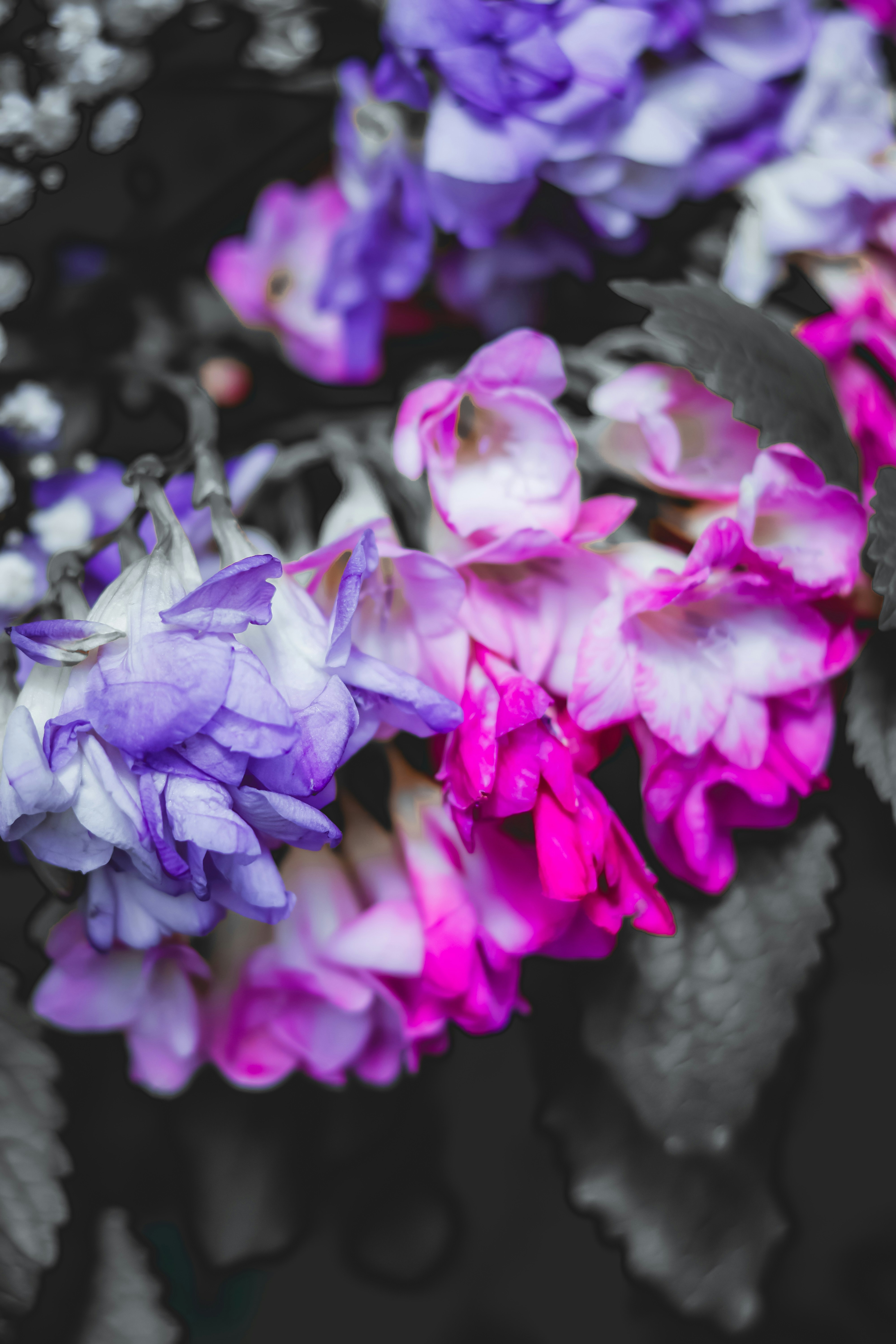 Photo by burakakmanoglu