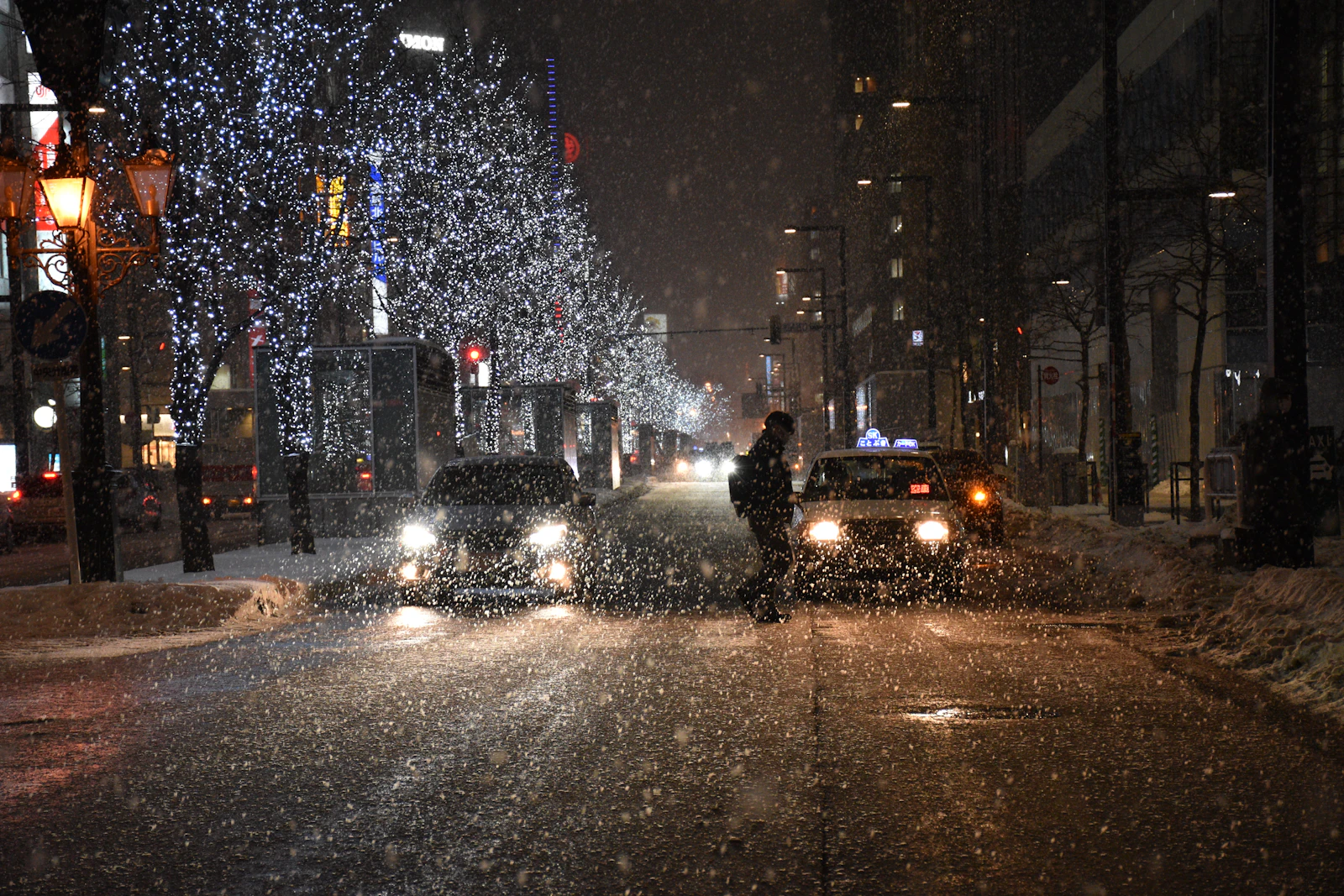 Snow covers a road and trees in rural Japan