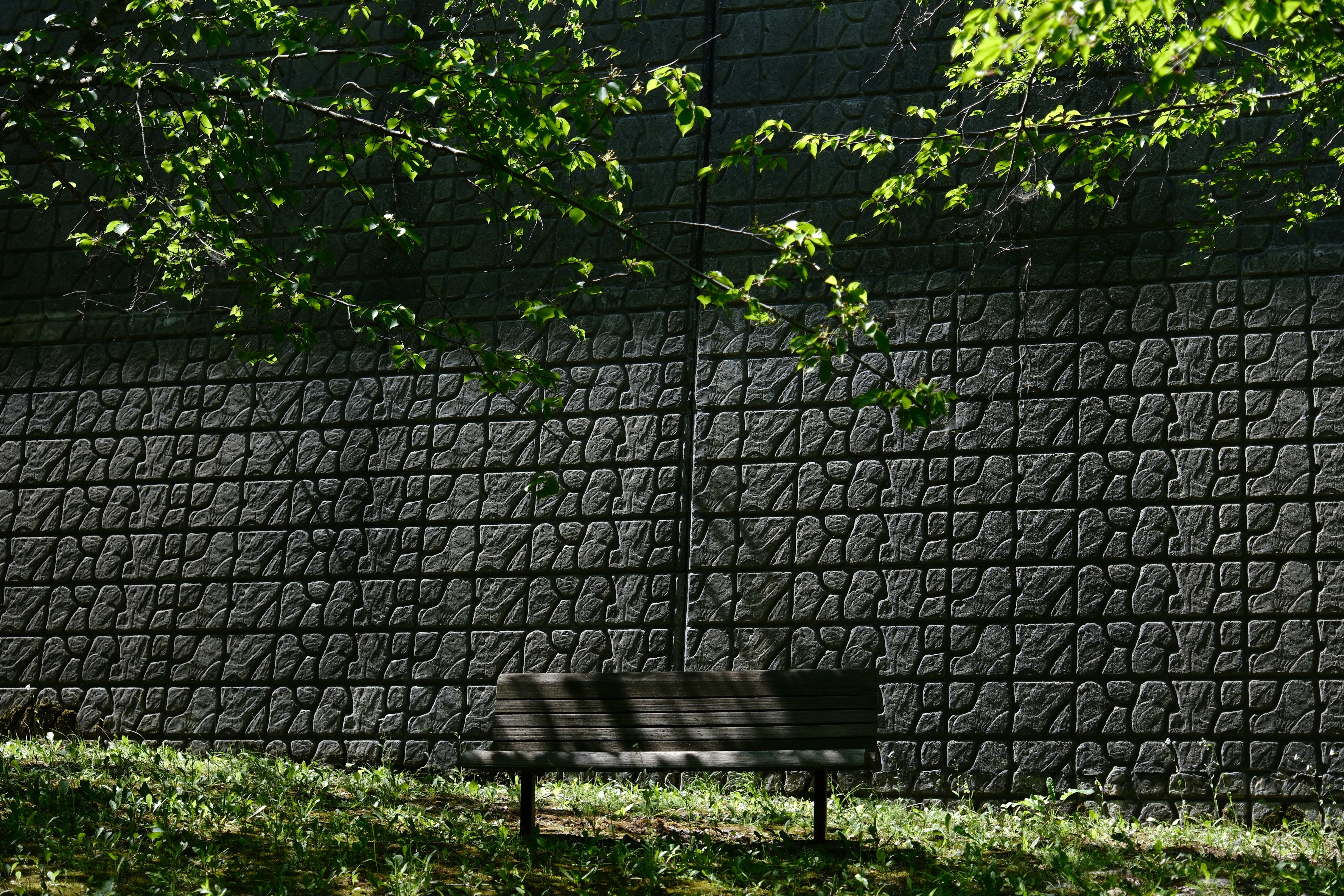 Photo by seiya_maeda