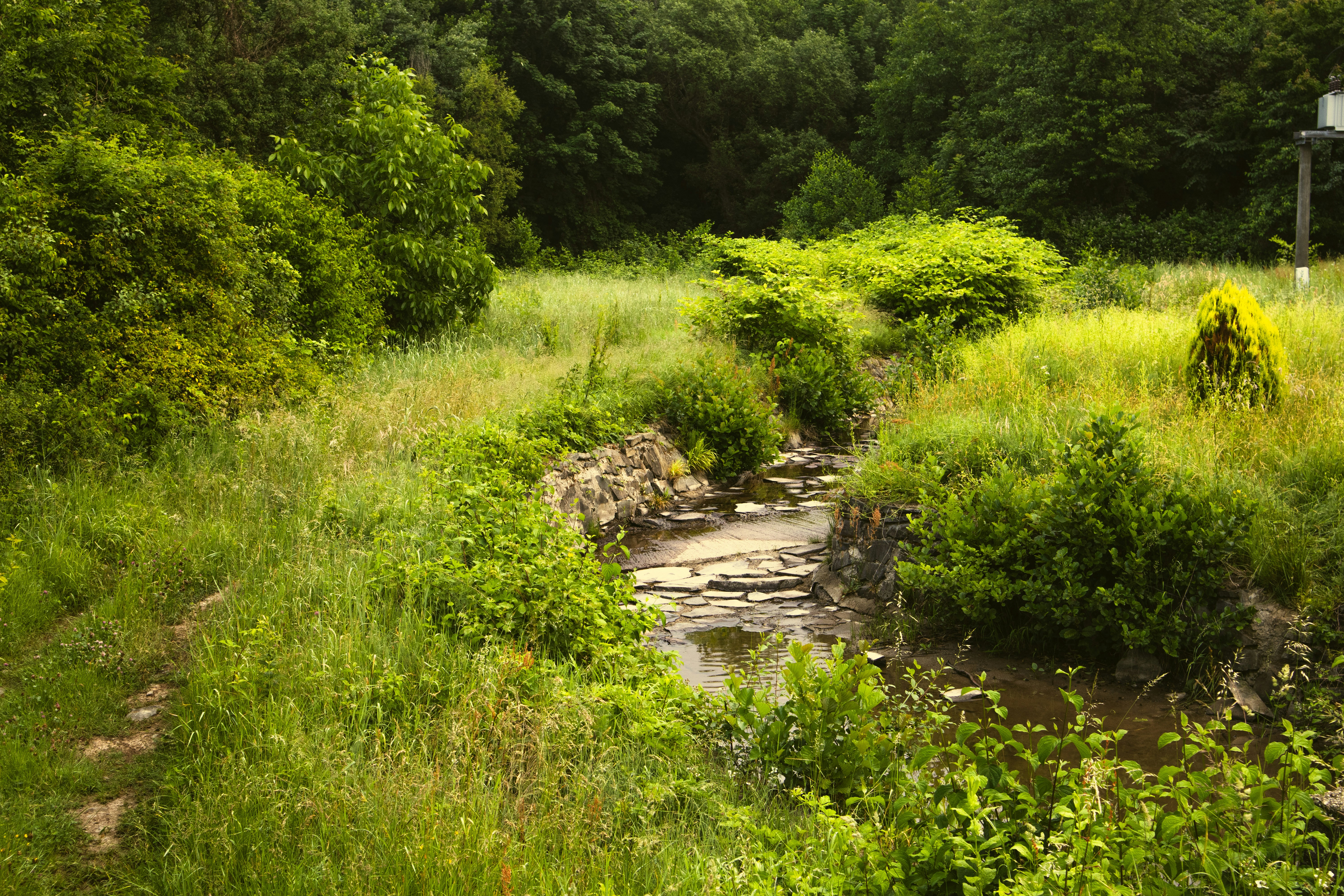 Photo by marko_lengyel