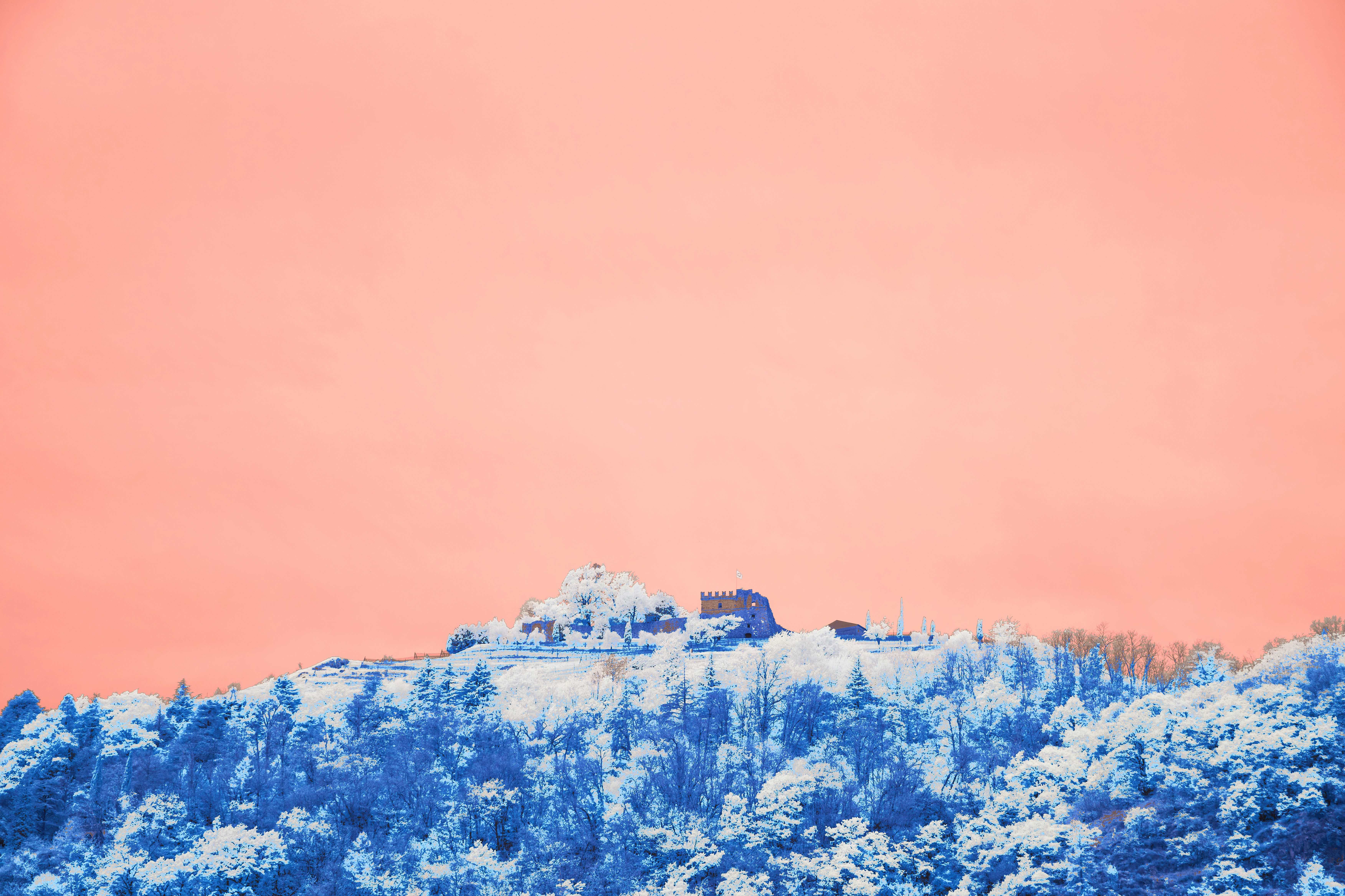 Photo by wolfgang_hasselmann