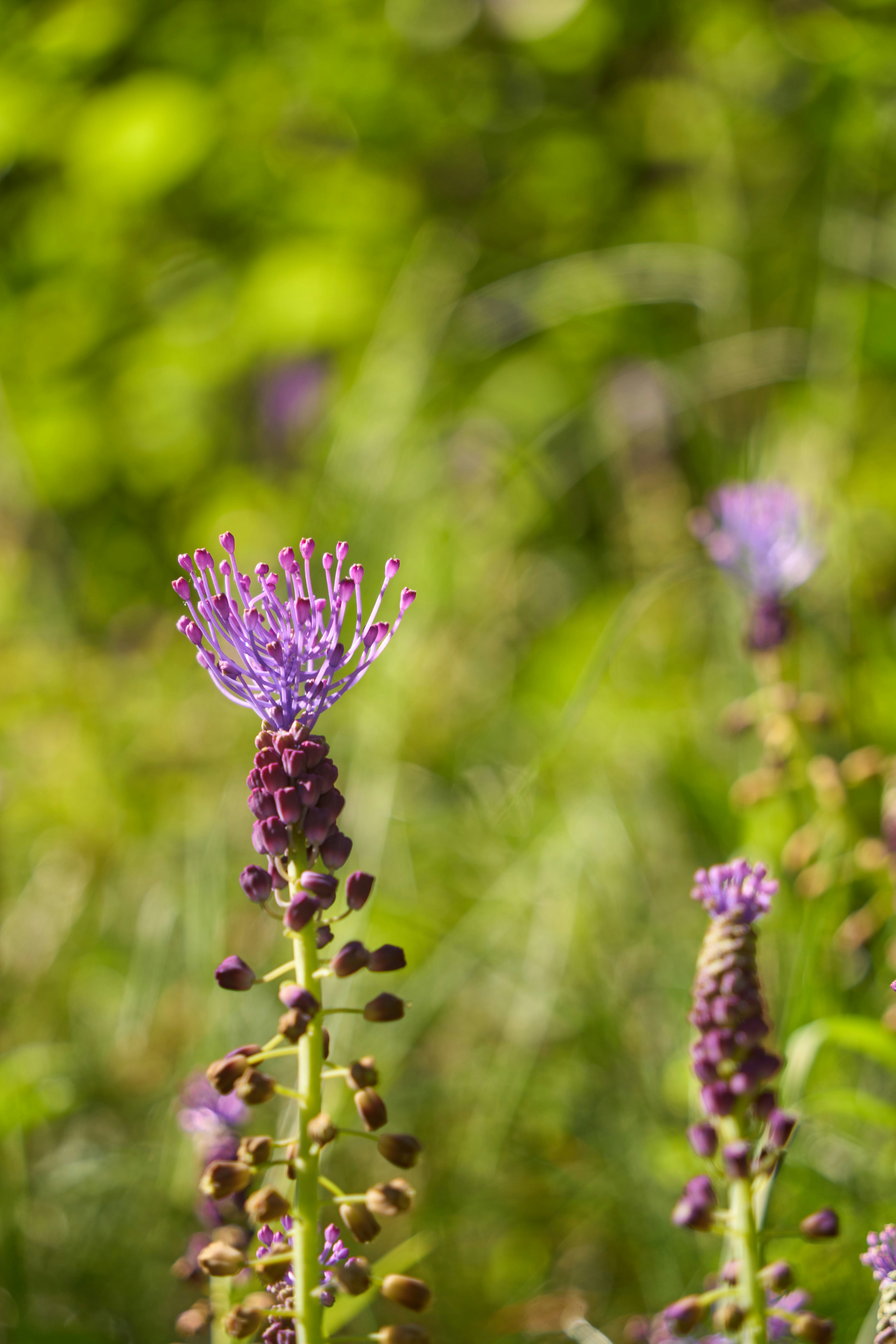 Photo by wolfgang_hasselmann