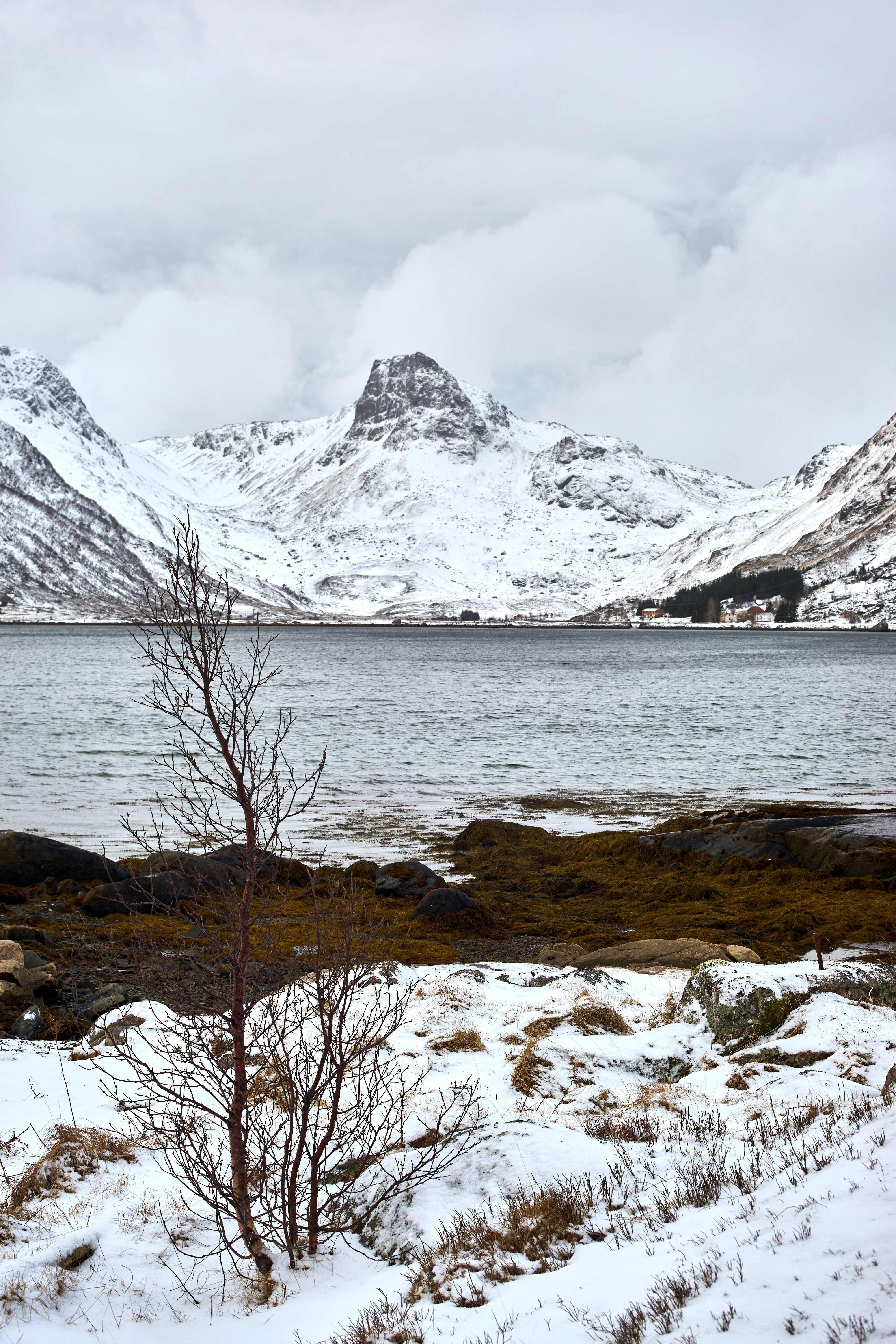 Photo by wolfgang_hasselmann