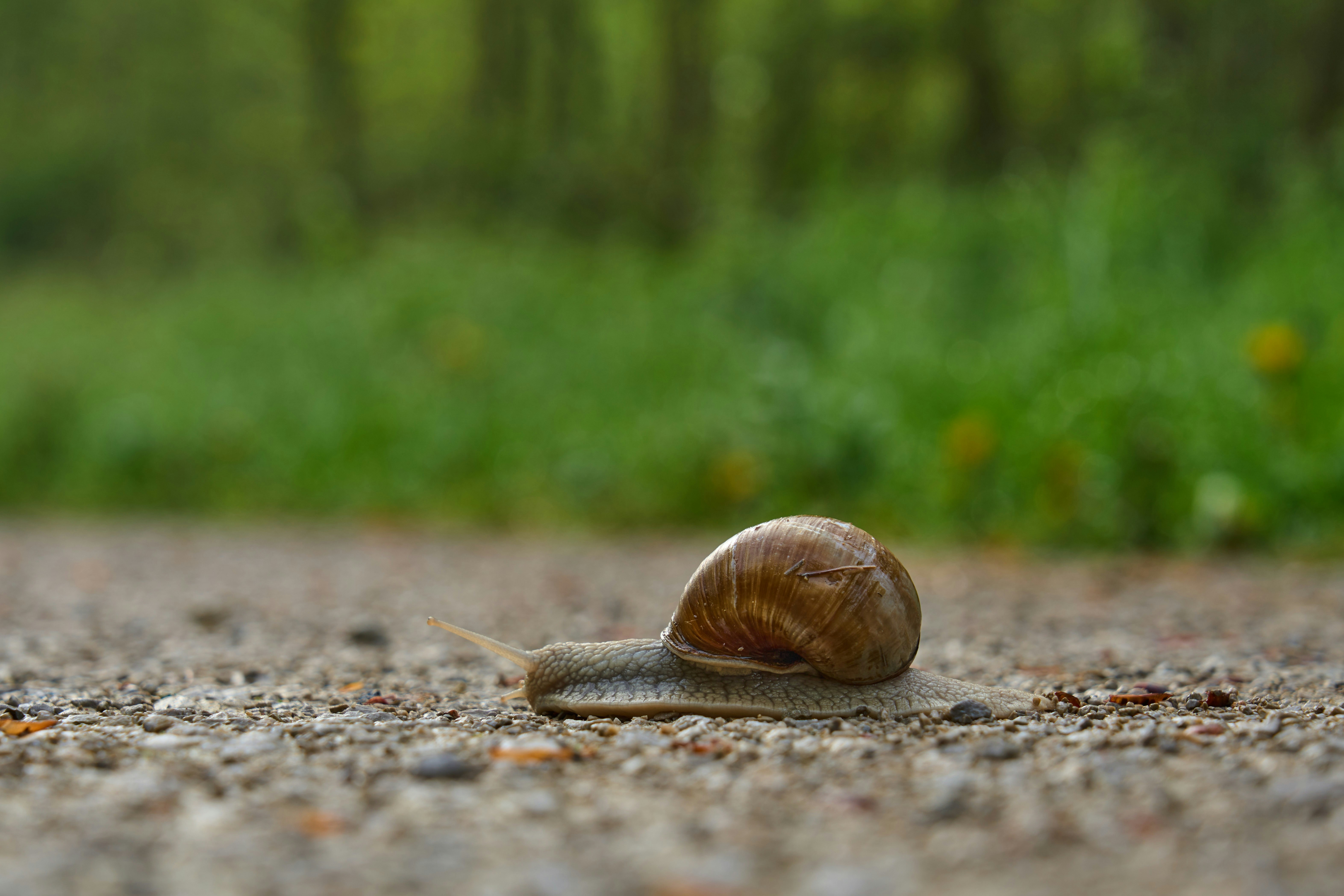 Photo by wolfgang_hasselmann