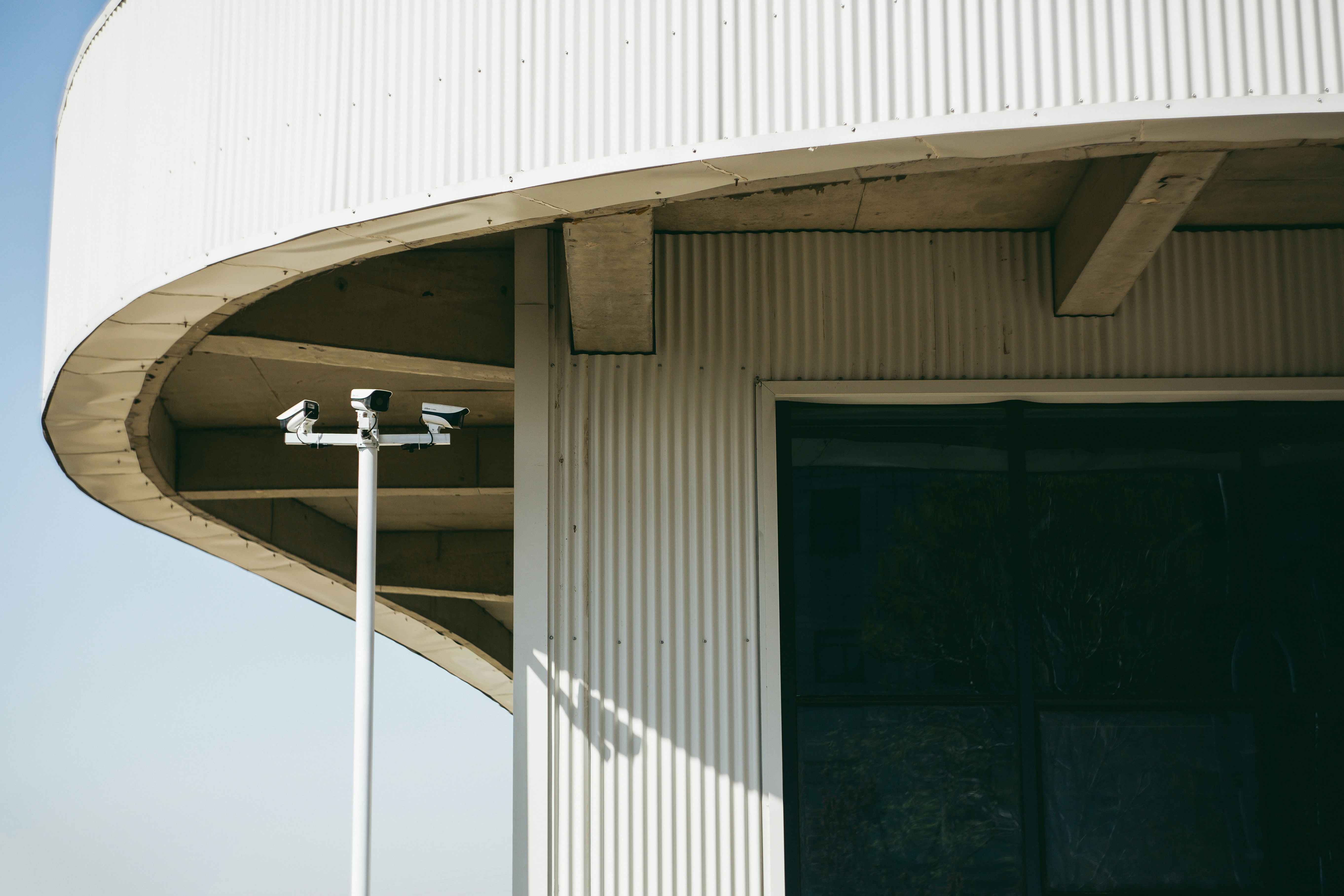 a couple of white birds sitting on top of a metal pole
