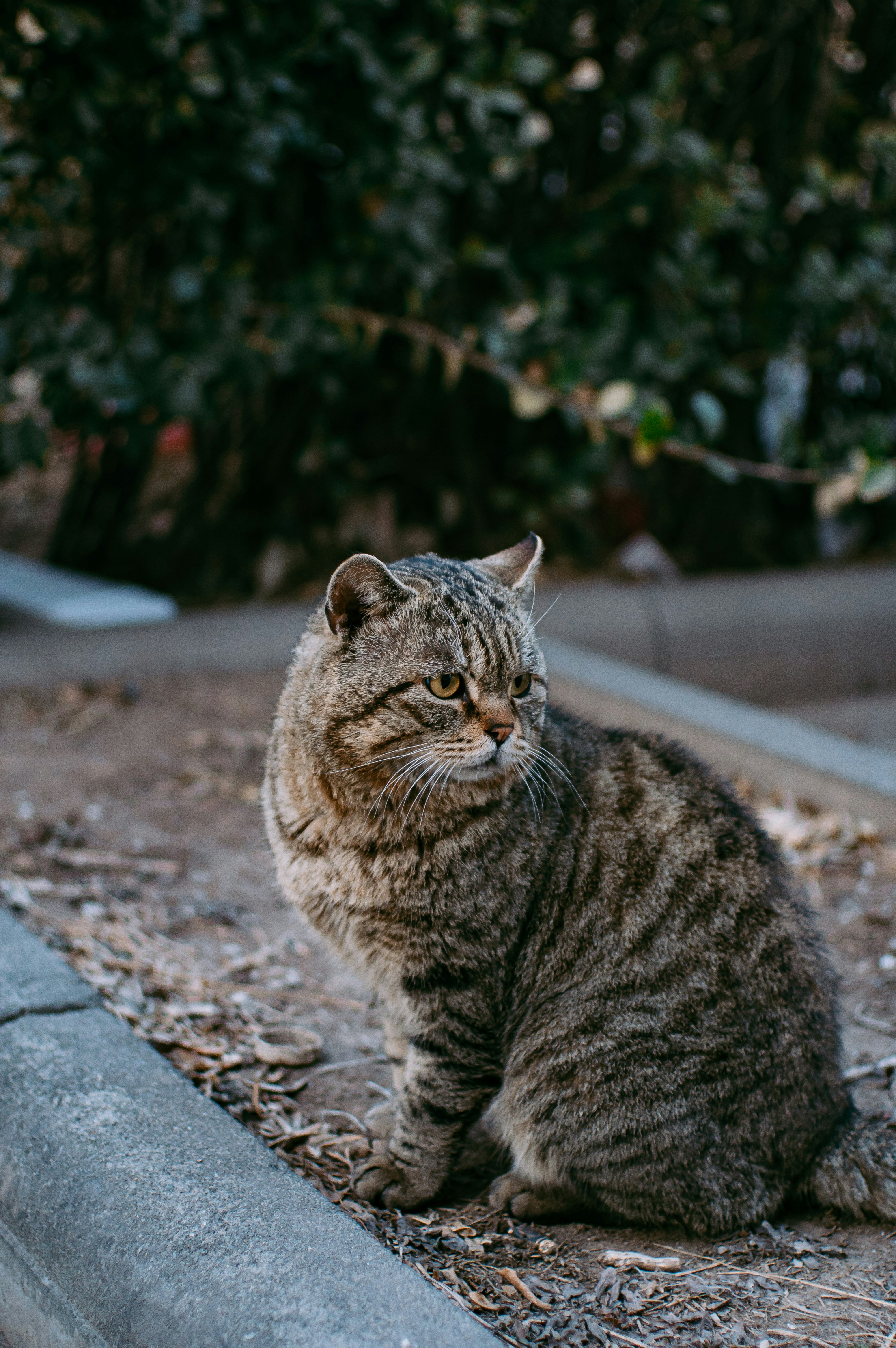 Photo by takeshi2