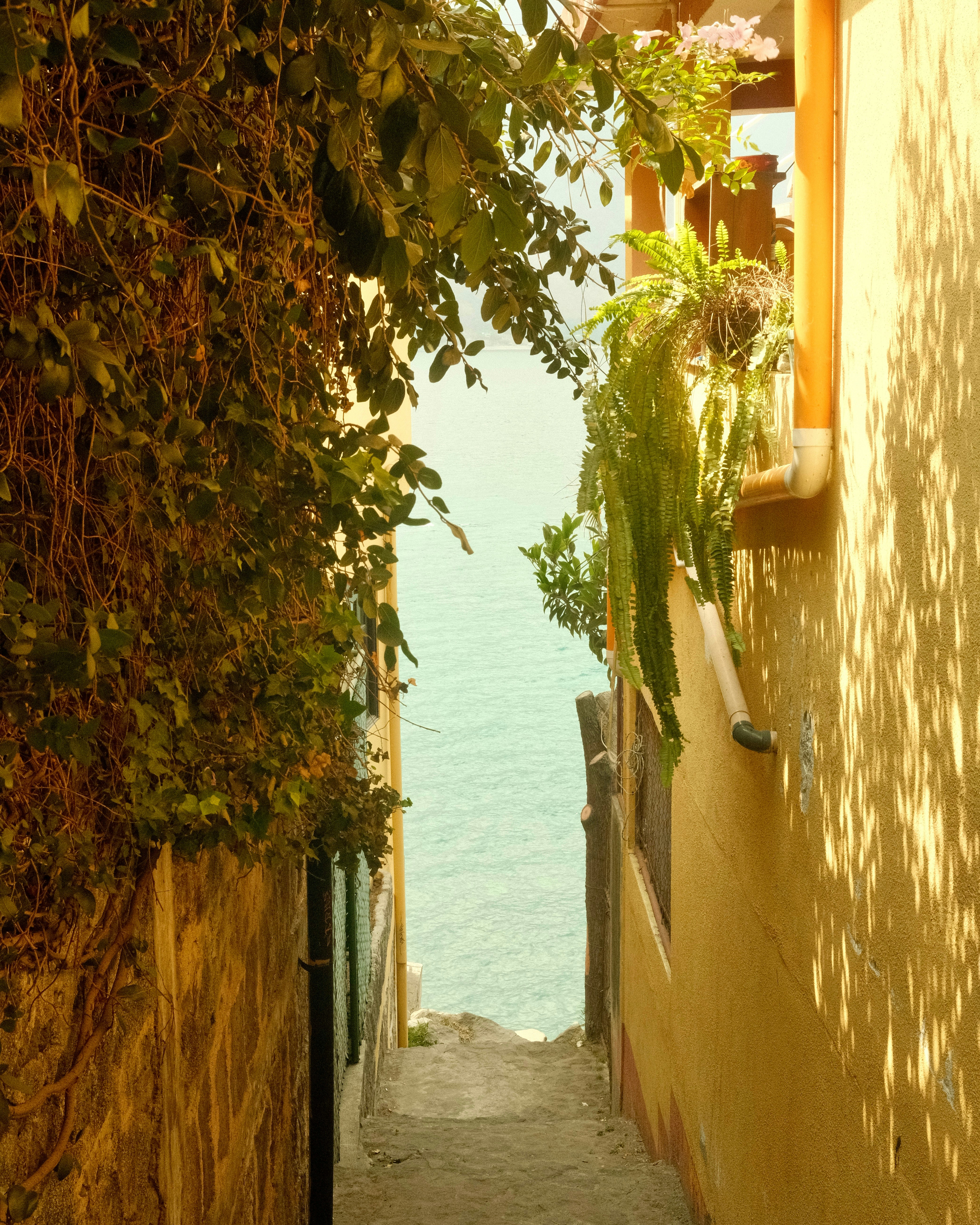 Photo by thiagocamposl