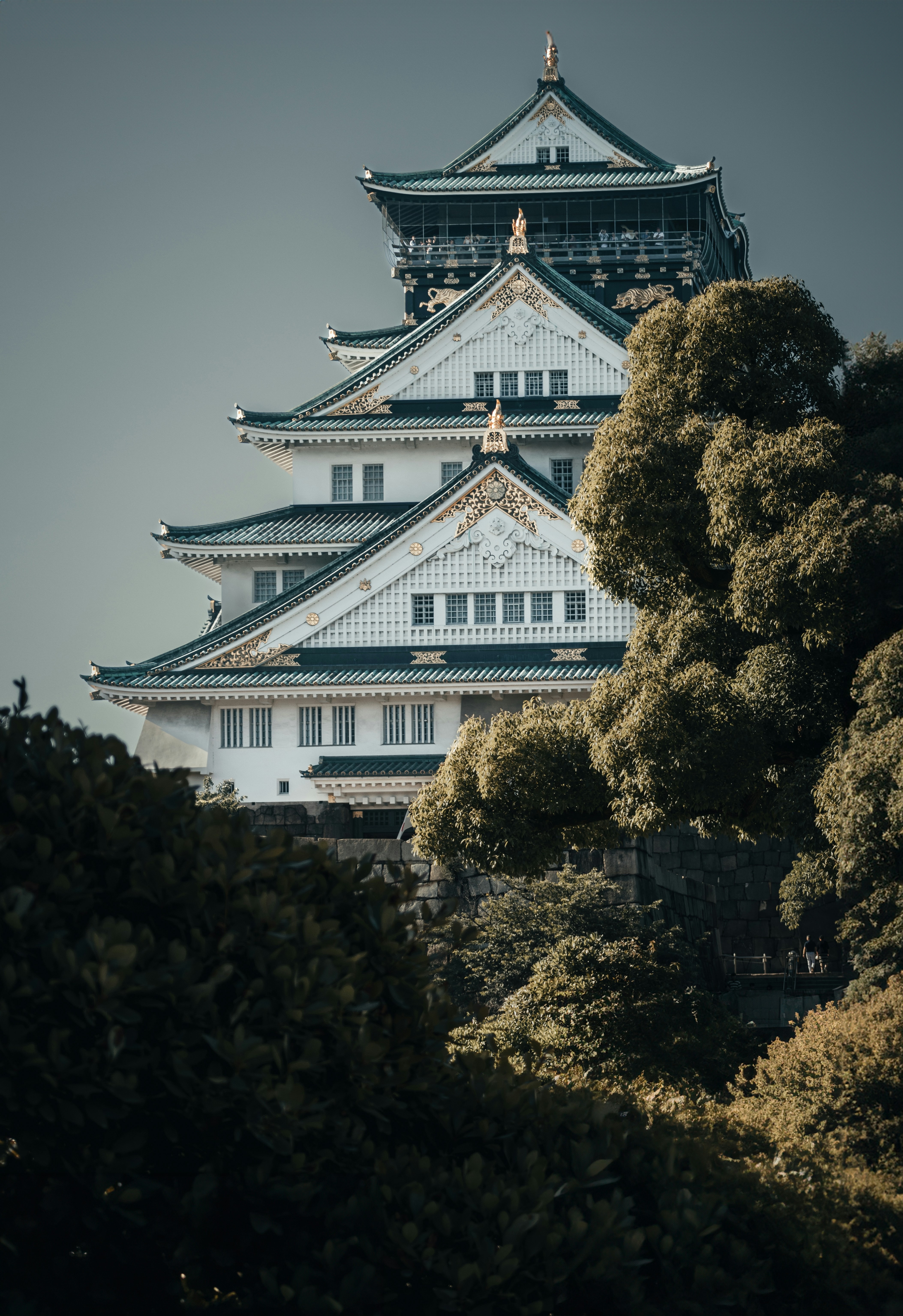 Photo by shanavaro