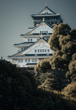 a tall white building with trees in front of it