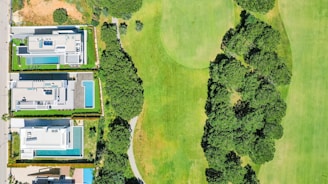 an aerial view of a golf course with houses