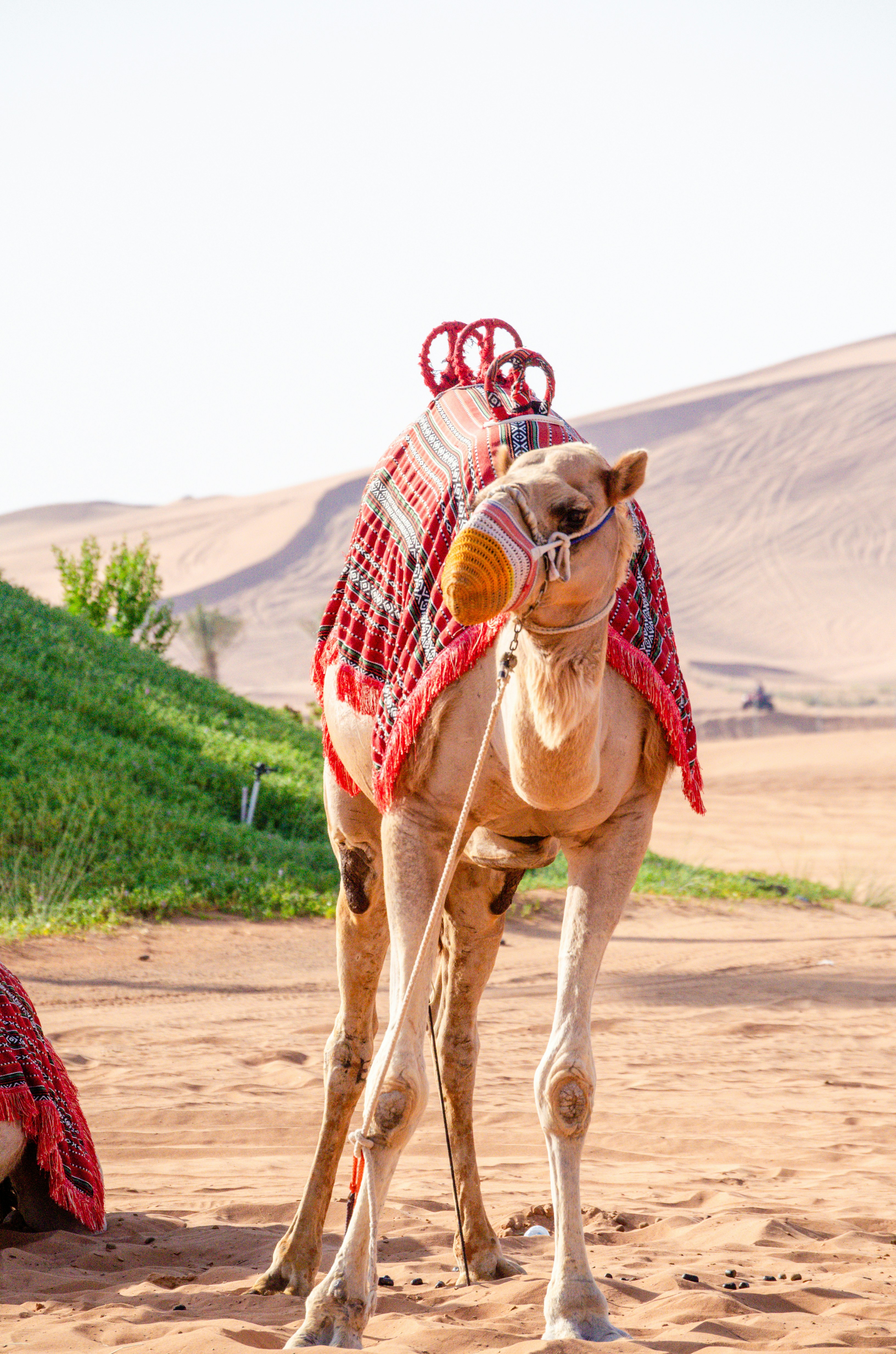 Photo by theworldthrumylenses