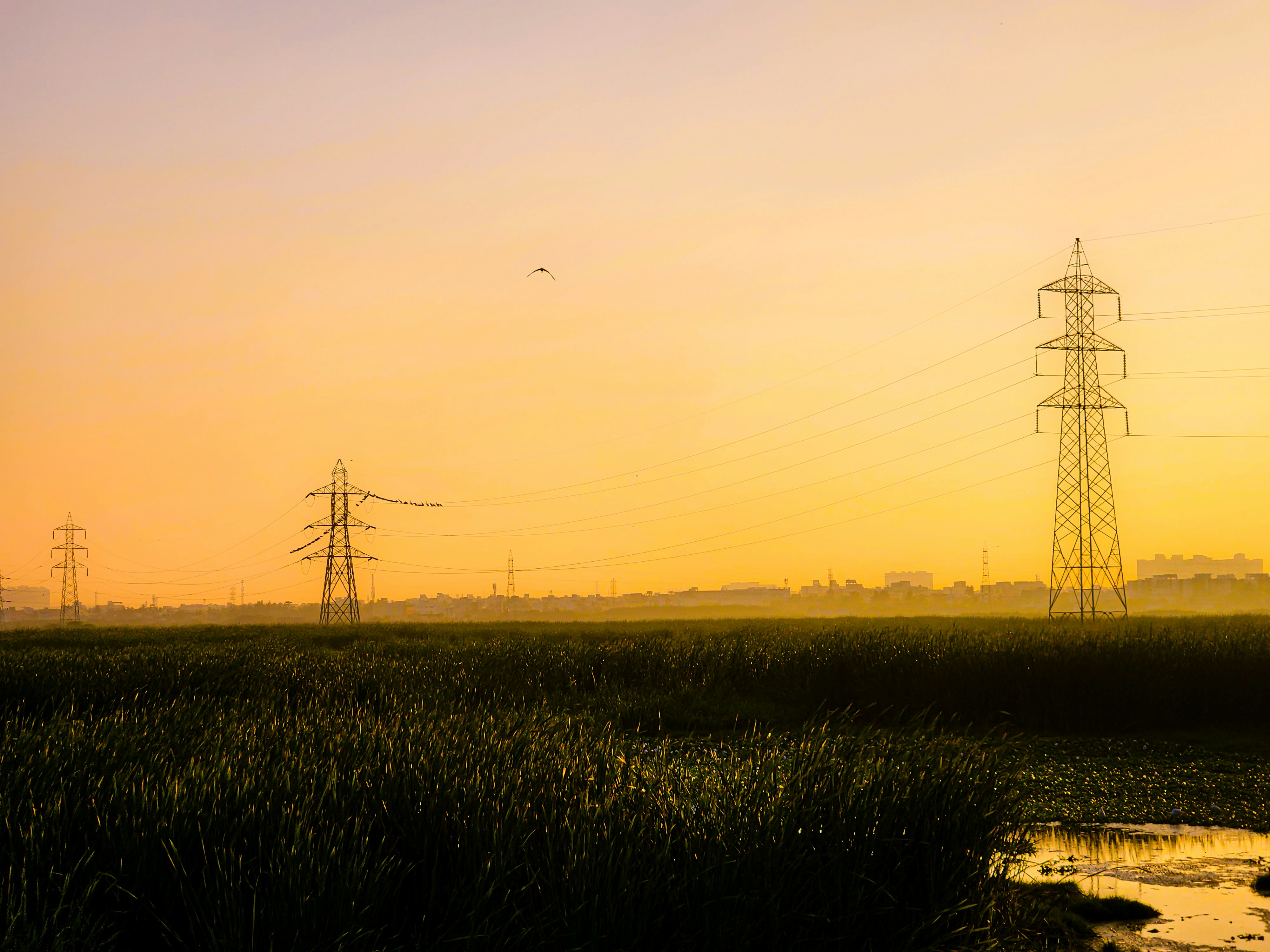 From Sunlight to Smart Tech