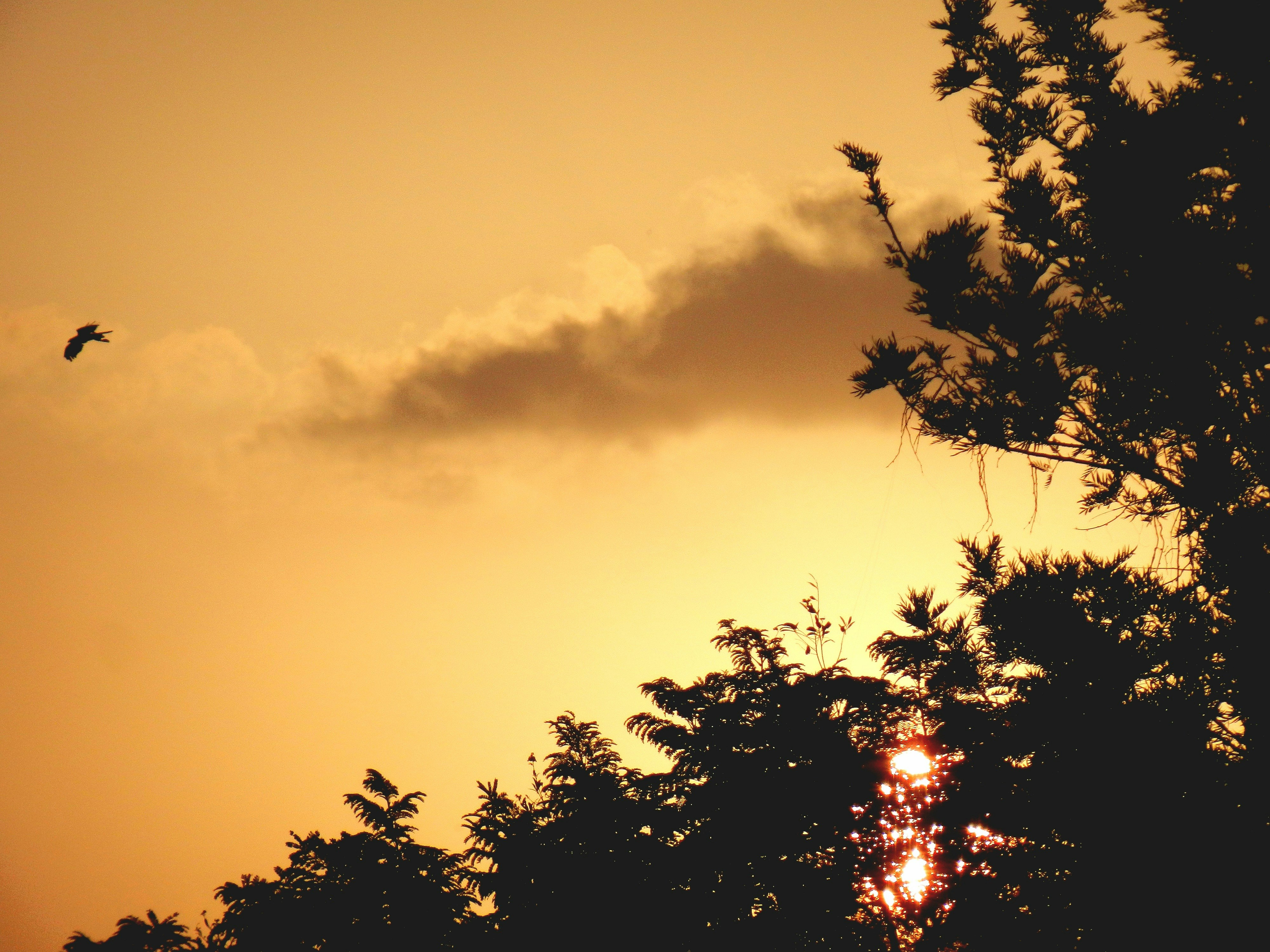 Photo by 5zantrigger