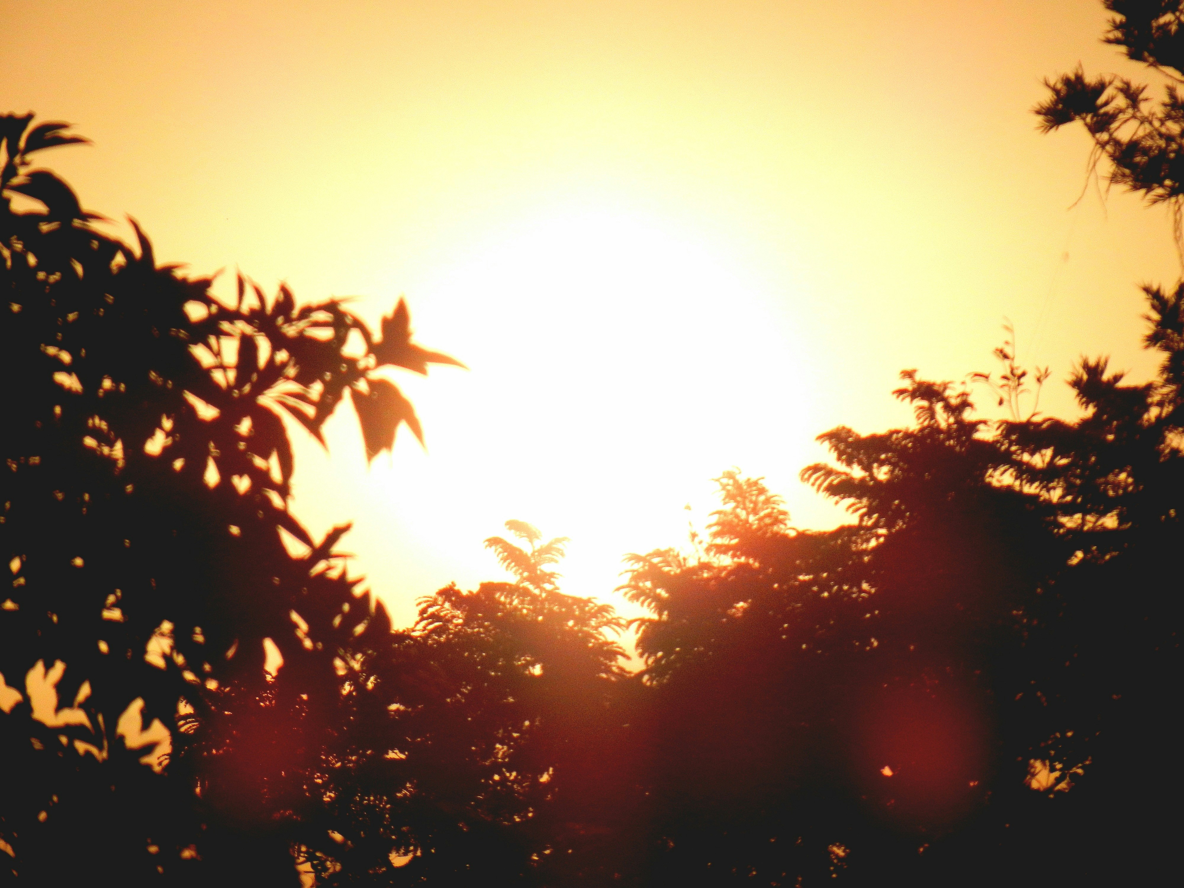 Photo by 5zantrigger