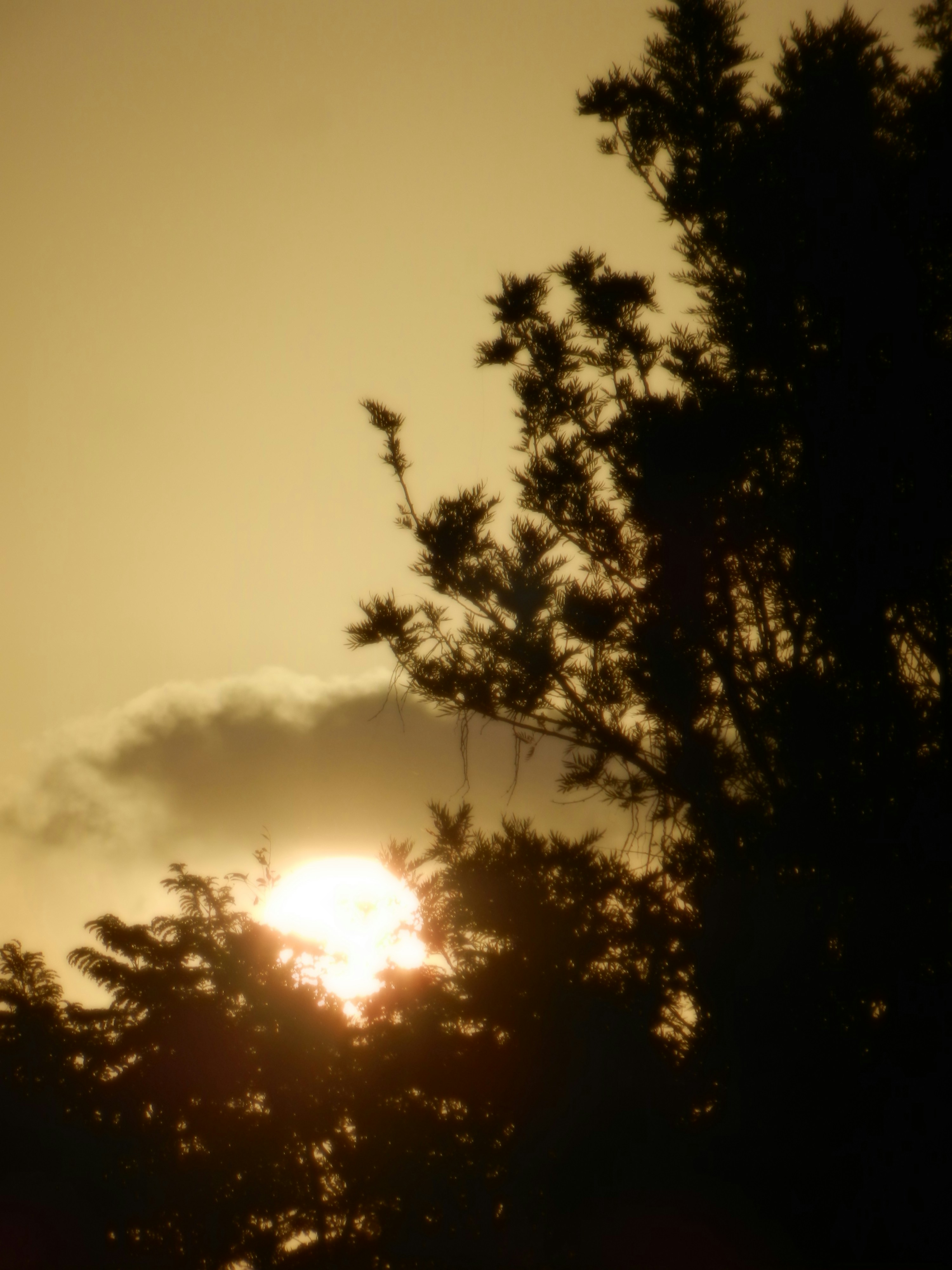 Photo by 5zantrigger