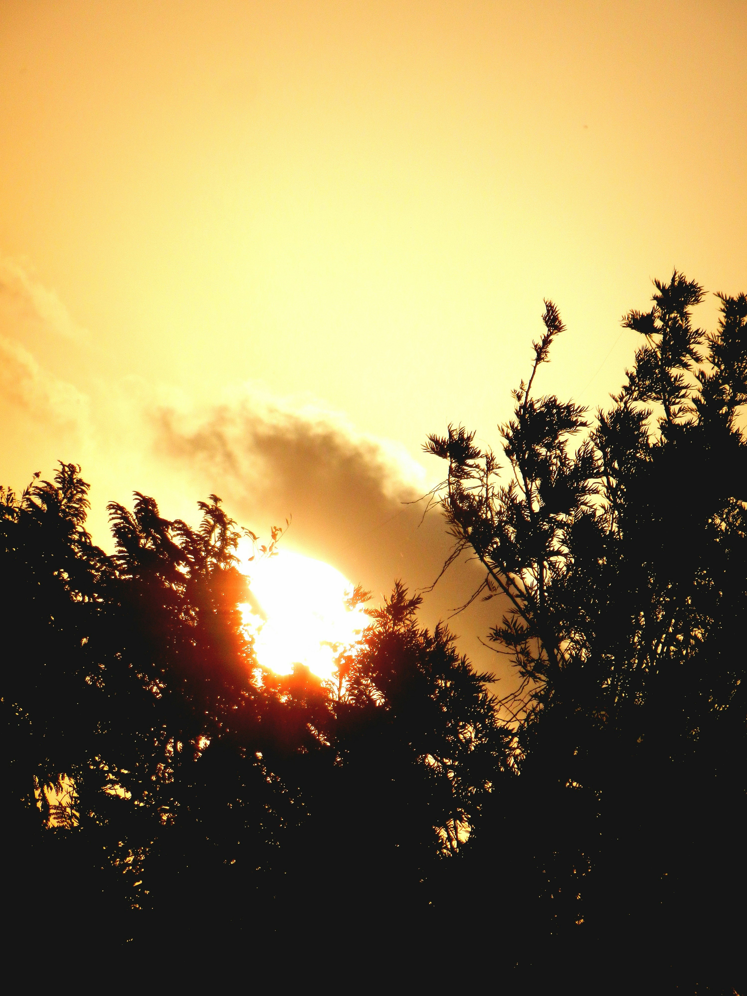 Photo by 5zantrigger