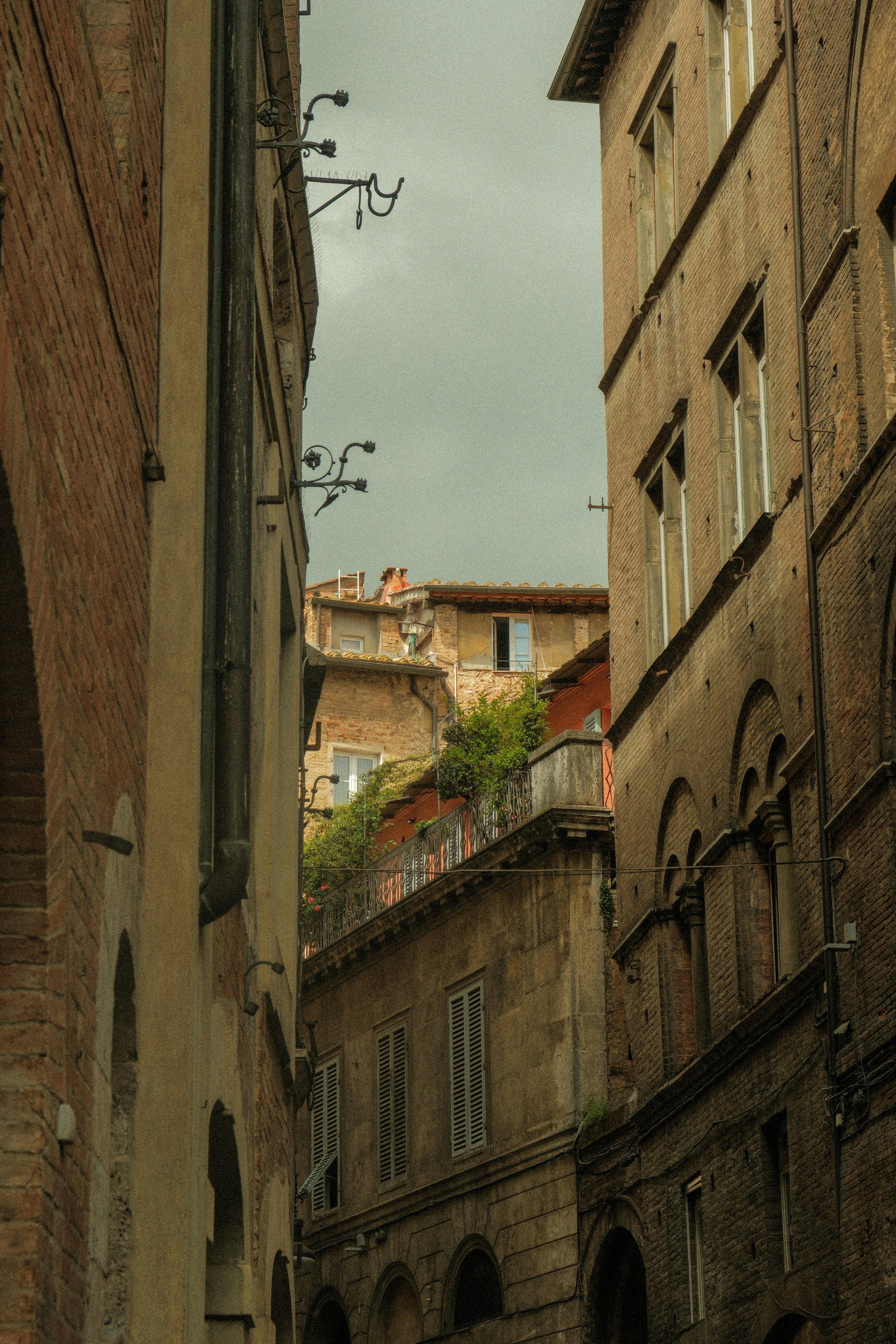 Photo by alexispresa