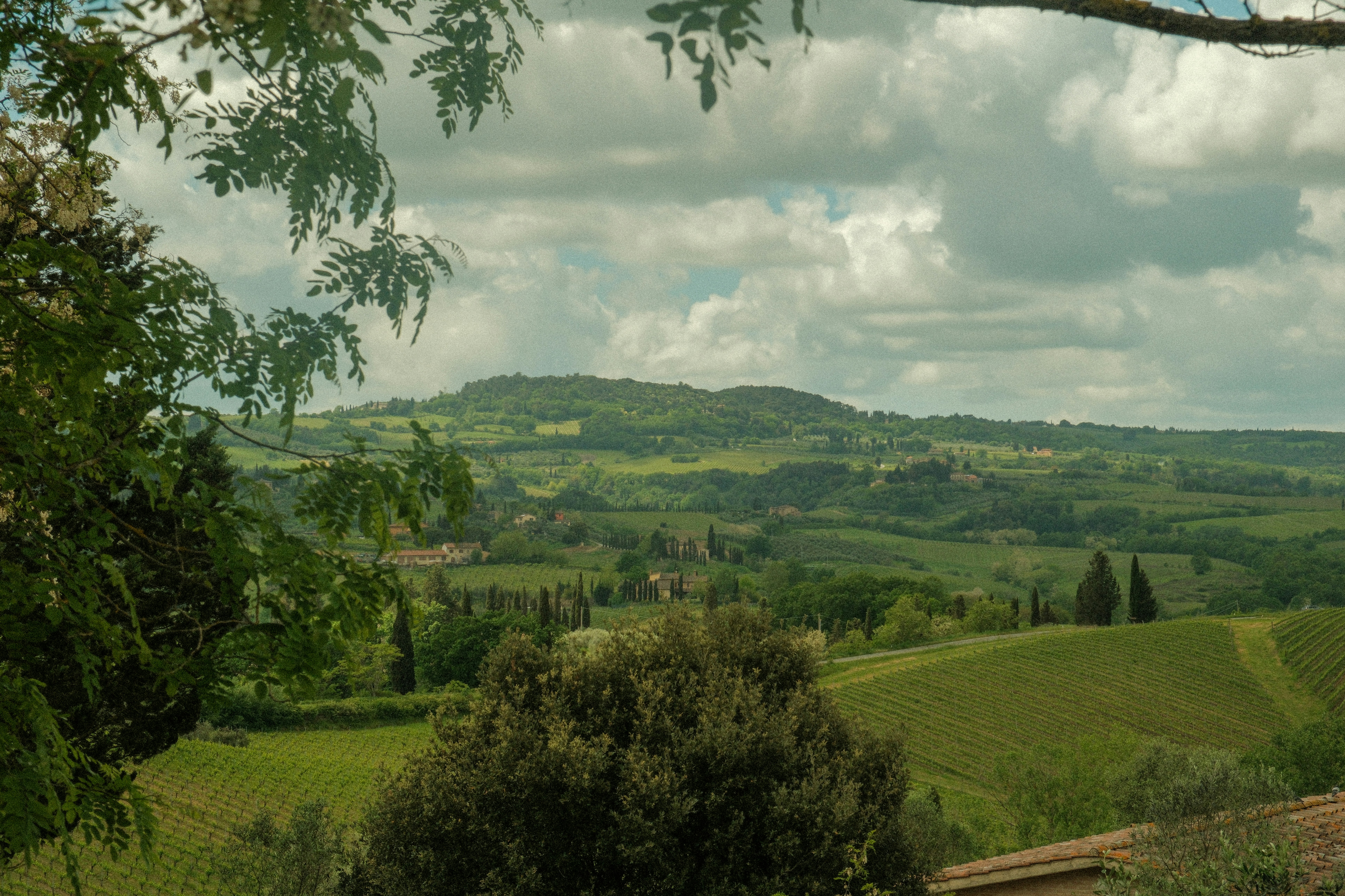 Photo by alexispresa