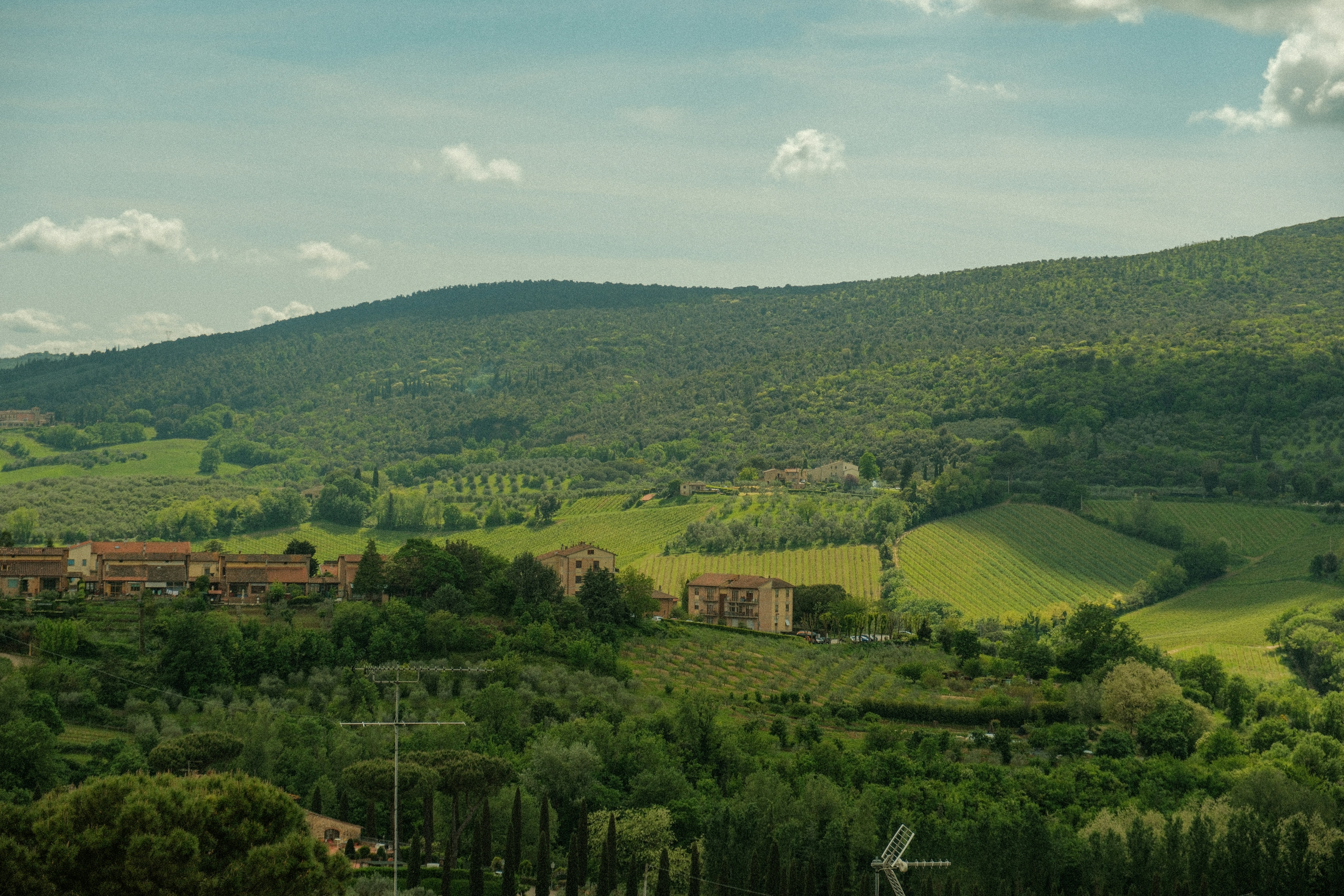 Photo by alexispresa