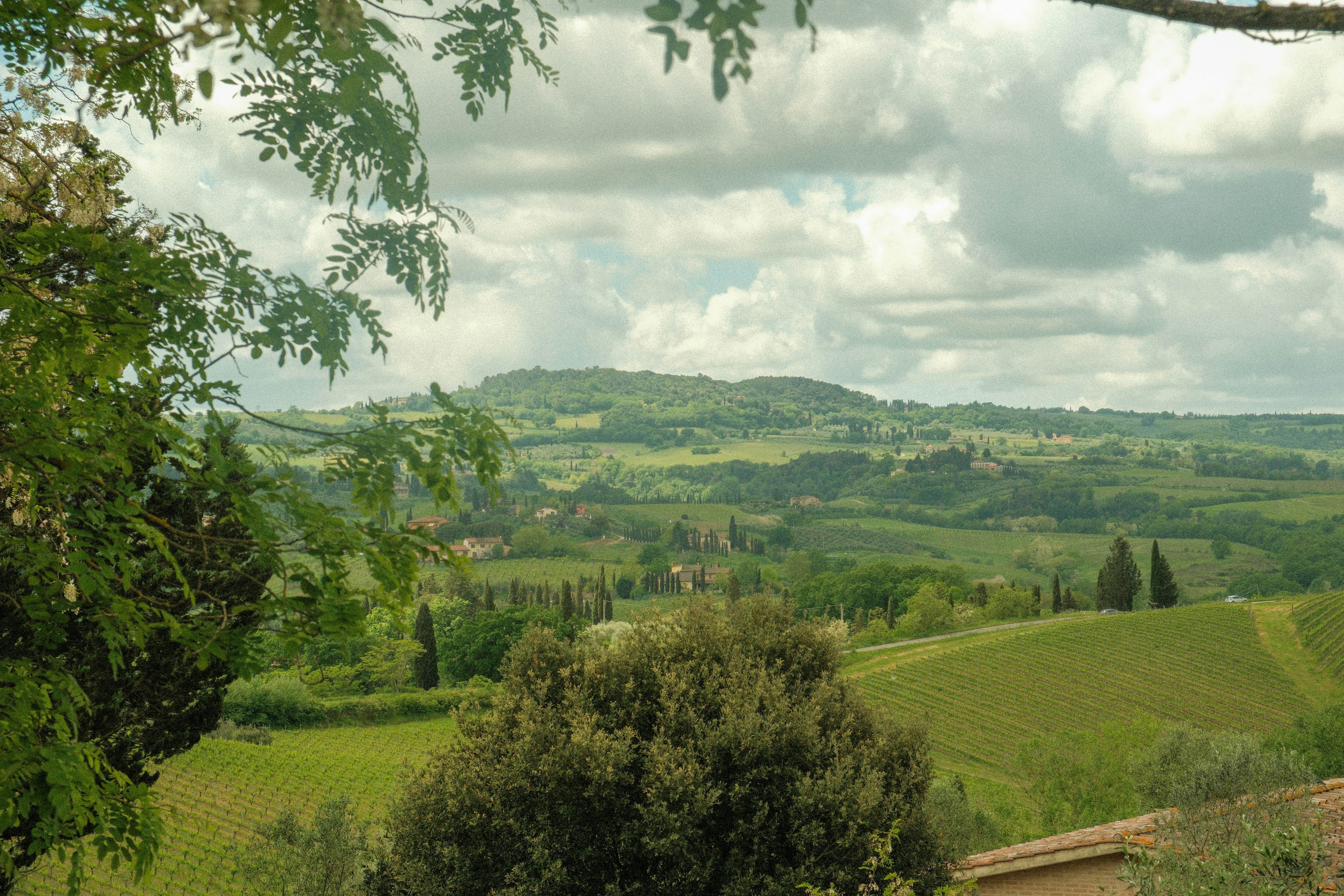 Photo by alexispresa