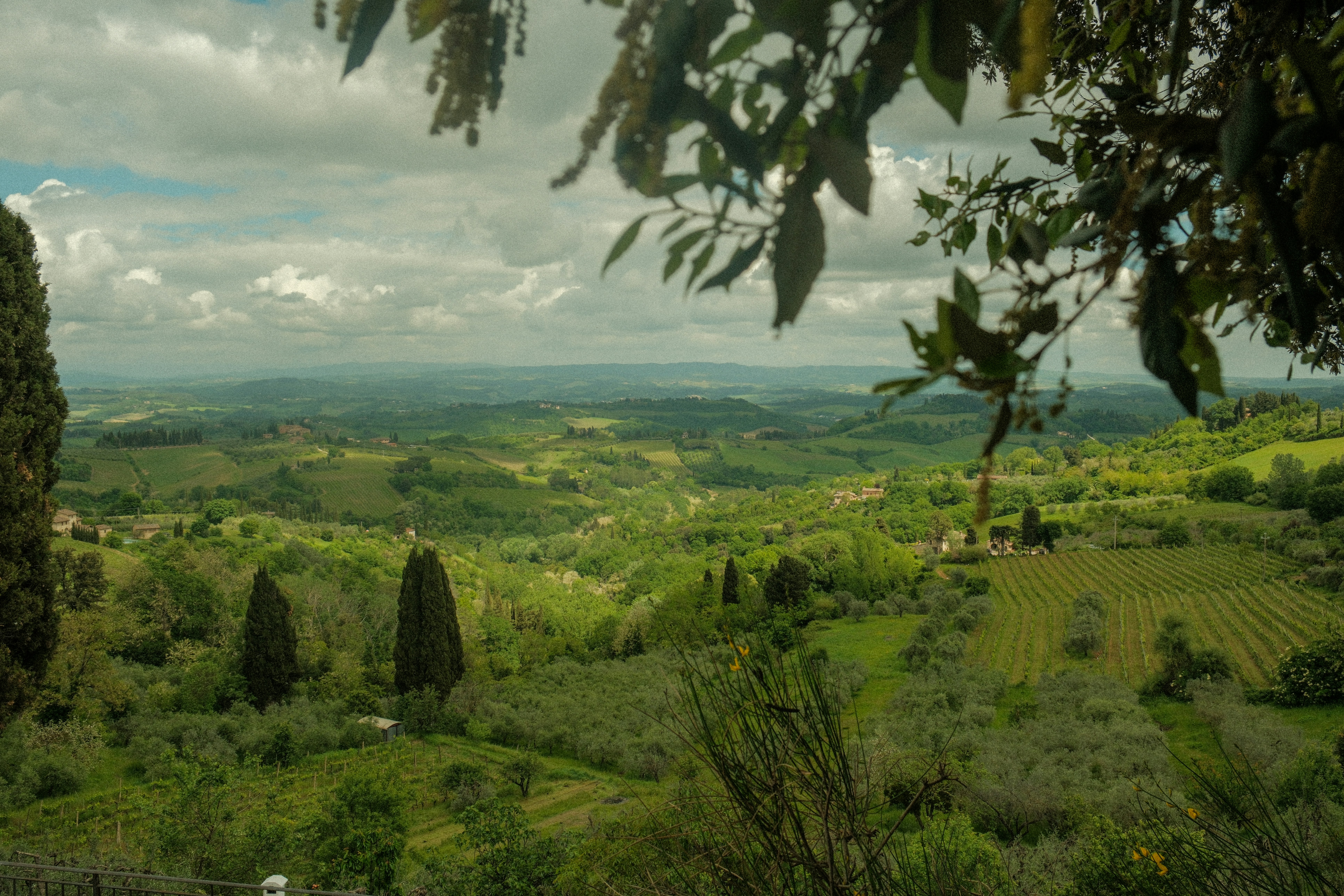 Image by Alex Presa via Unsplash