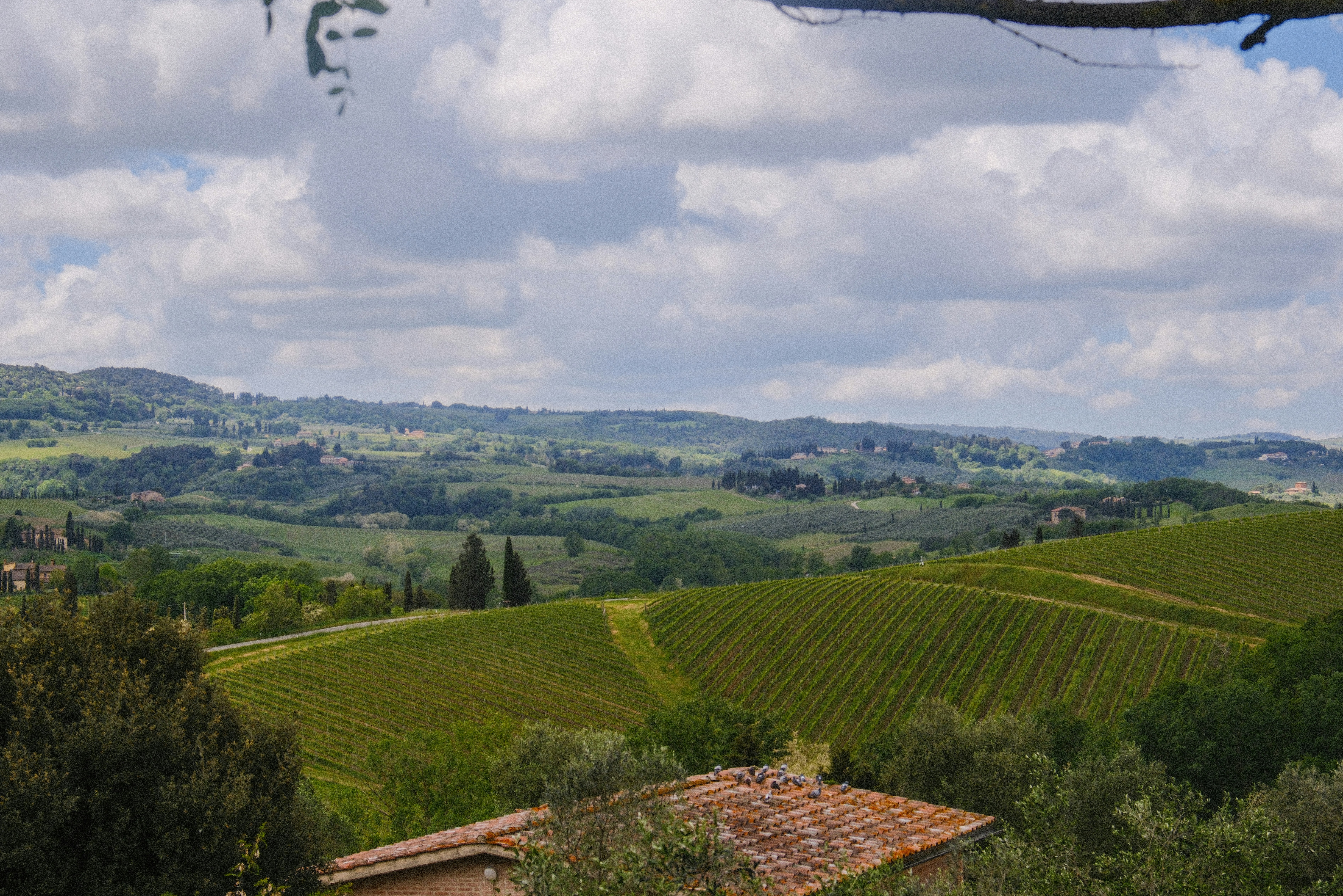 Photo by alexispresa