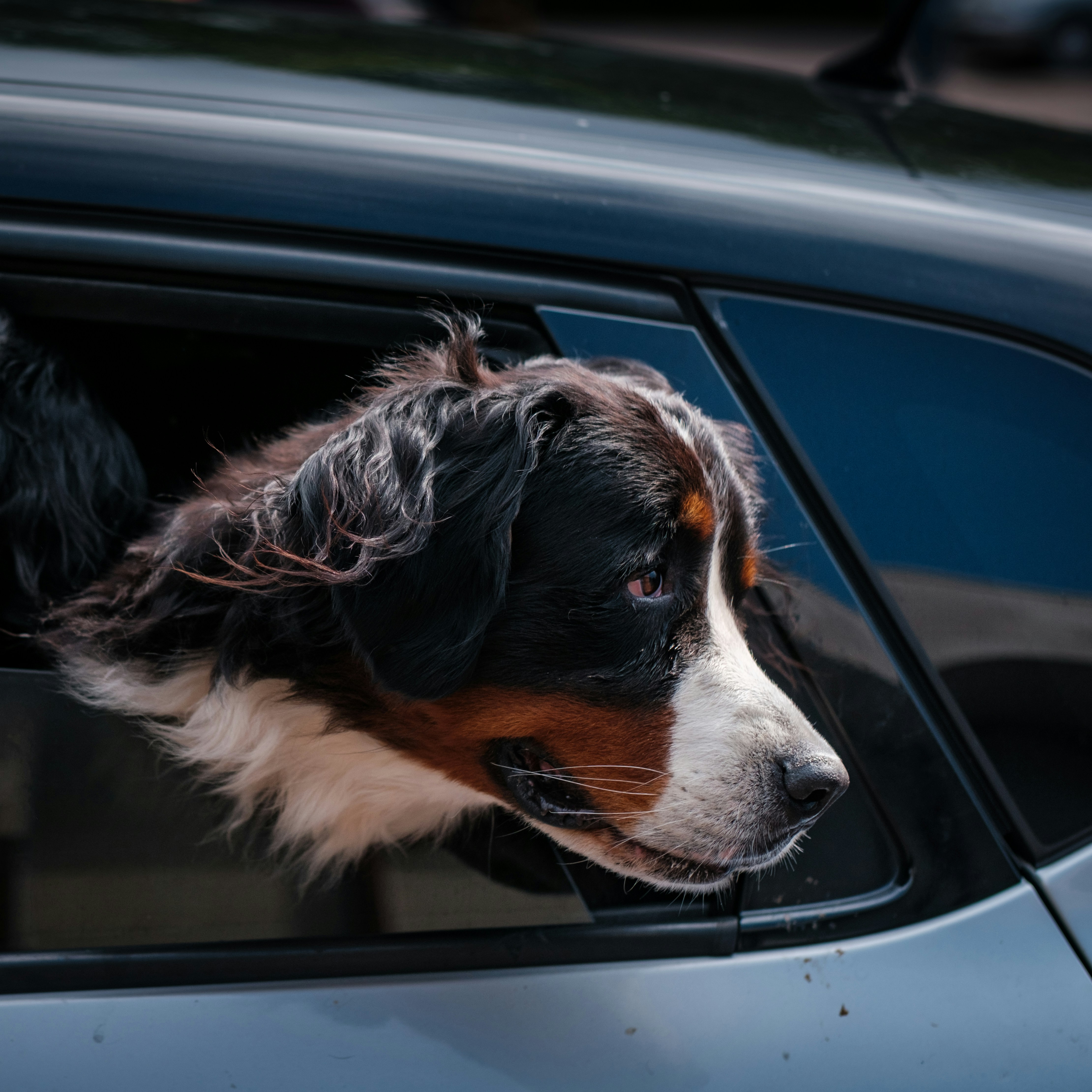 Photo by haberdoedas2