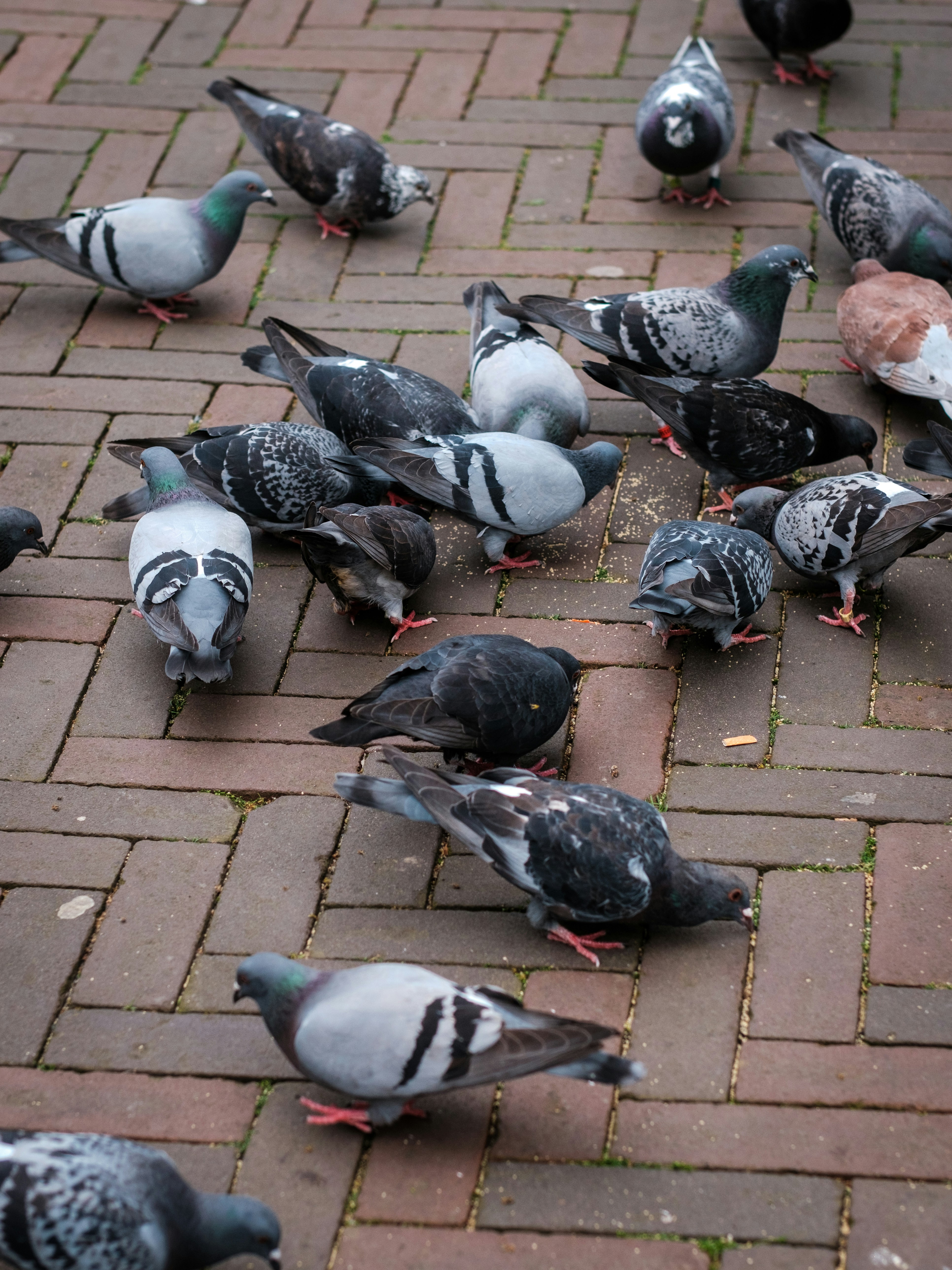 Photo by haberdoedas2