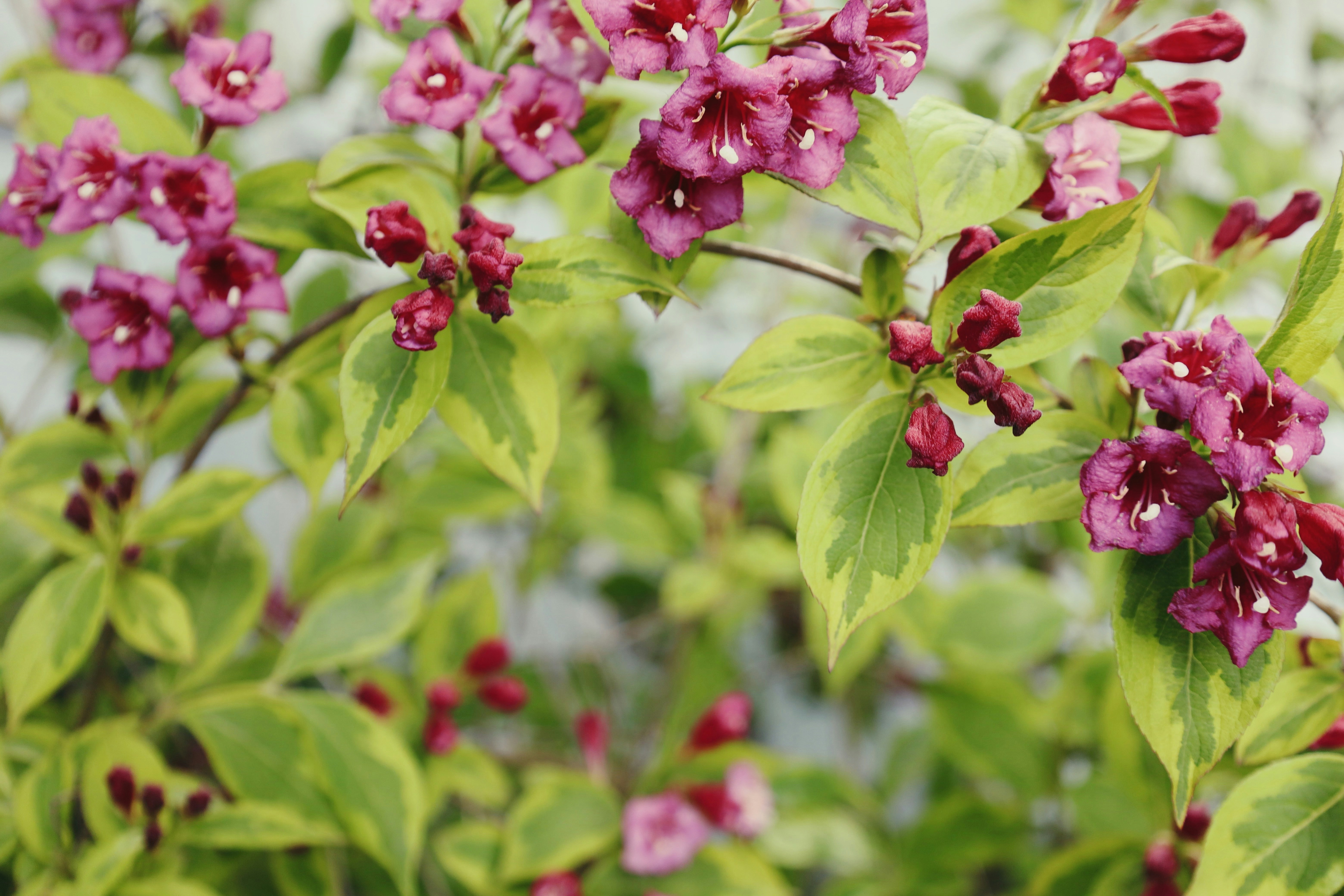 Photo by ananoelleeeee